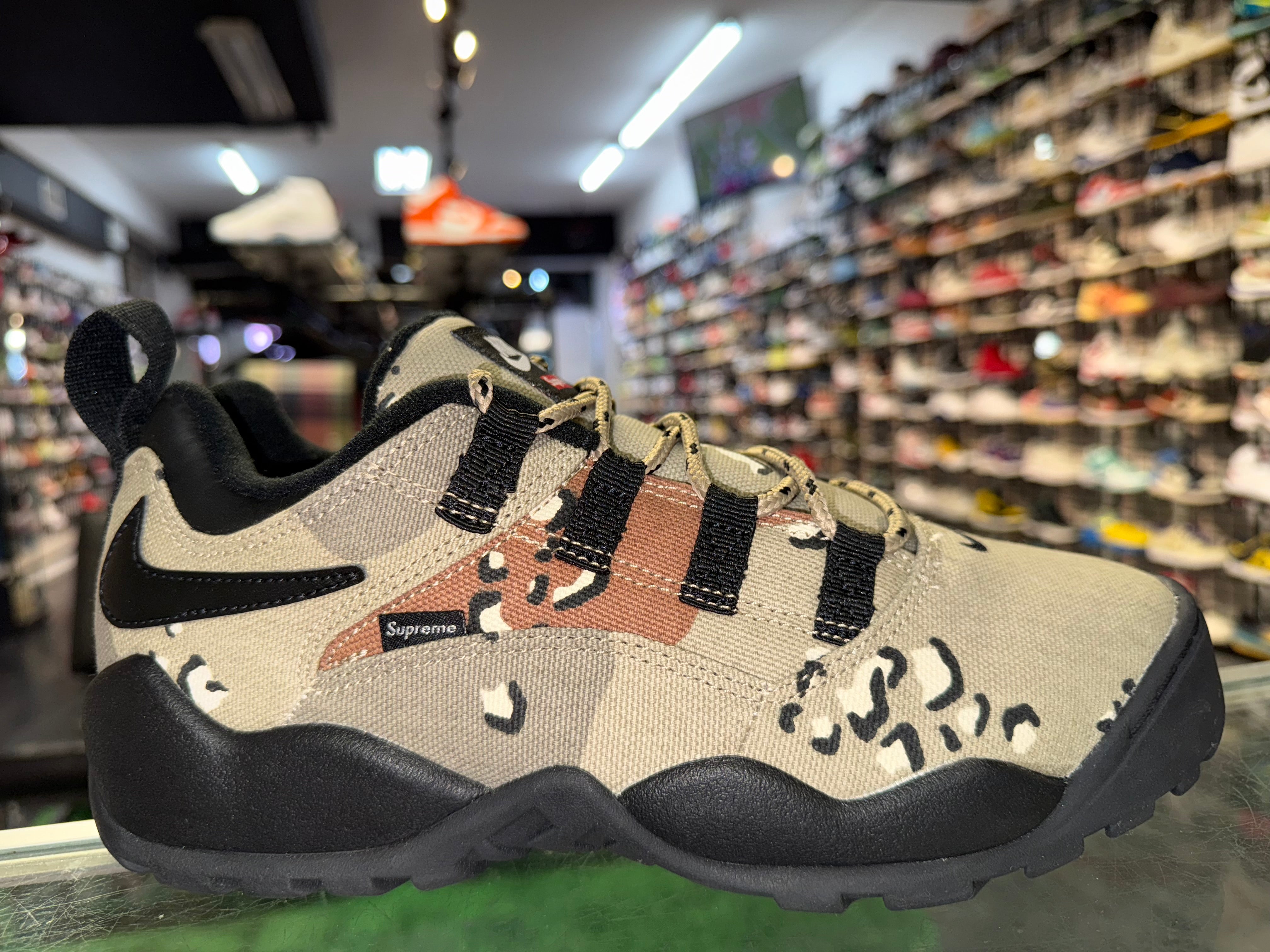 Size 9 Supreme x Darwin SB Low "Desert Camo"