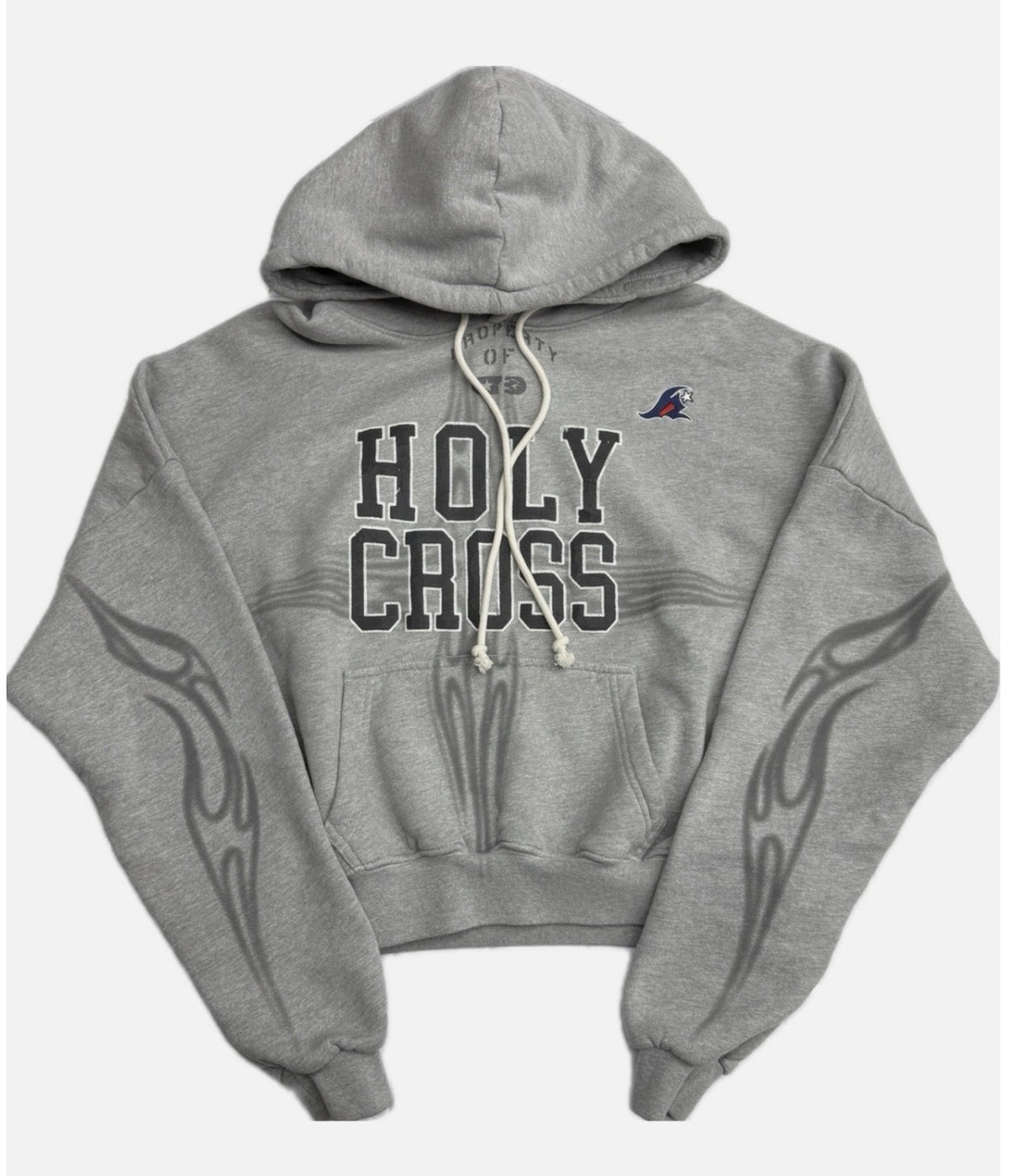 Size S (Fits M) Hellstar Holy Cross Hoodie “Grey”