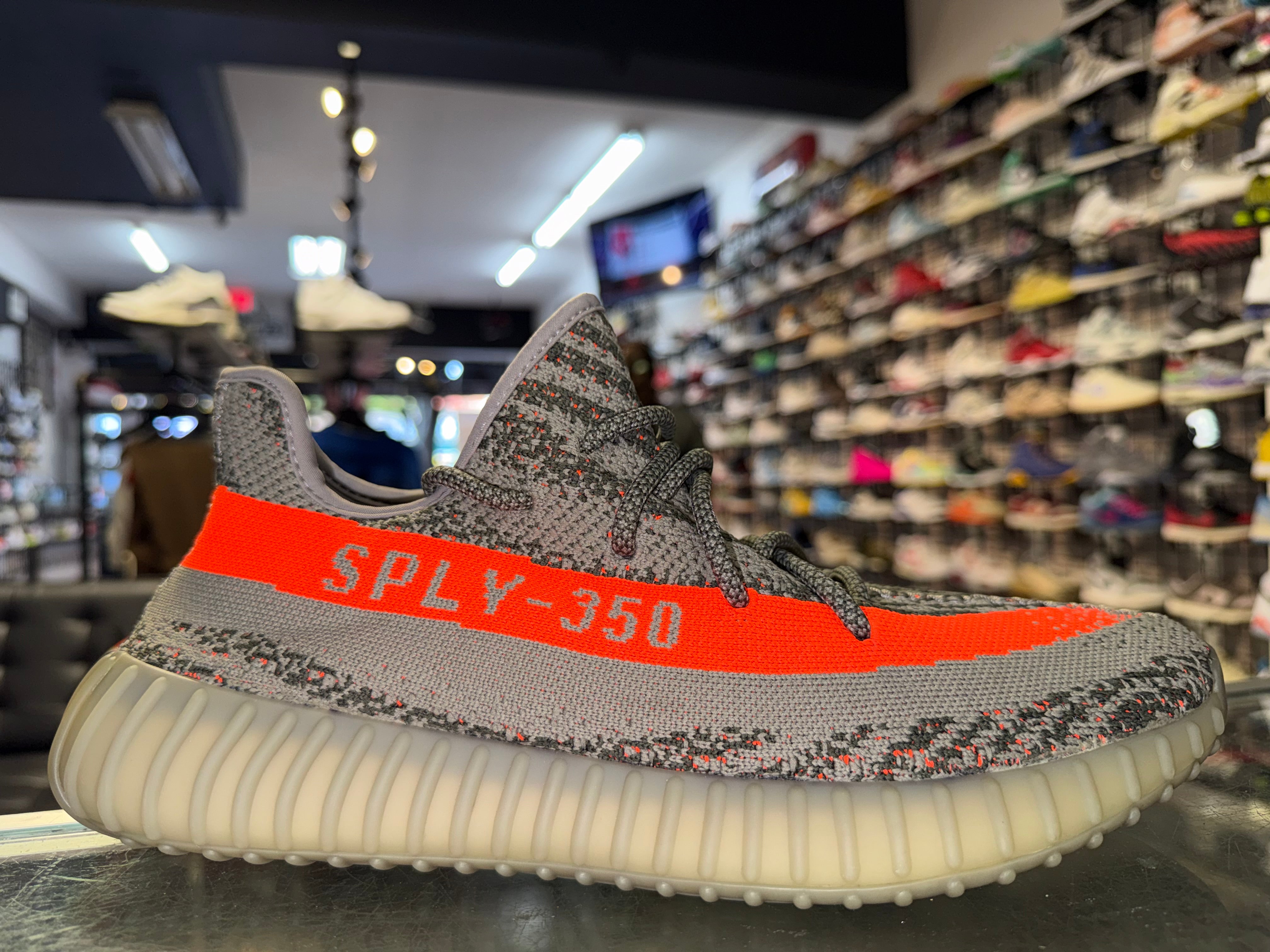 Size 10.5 Yeezy Boost 350 V2 "Beluga"