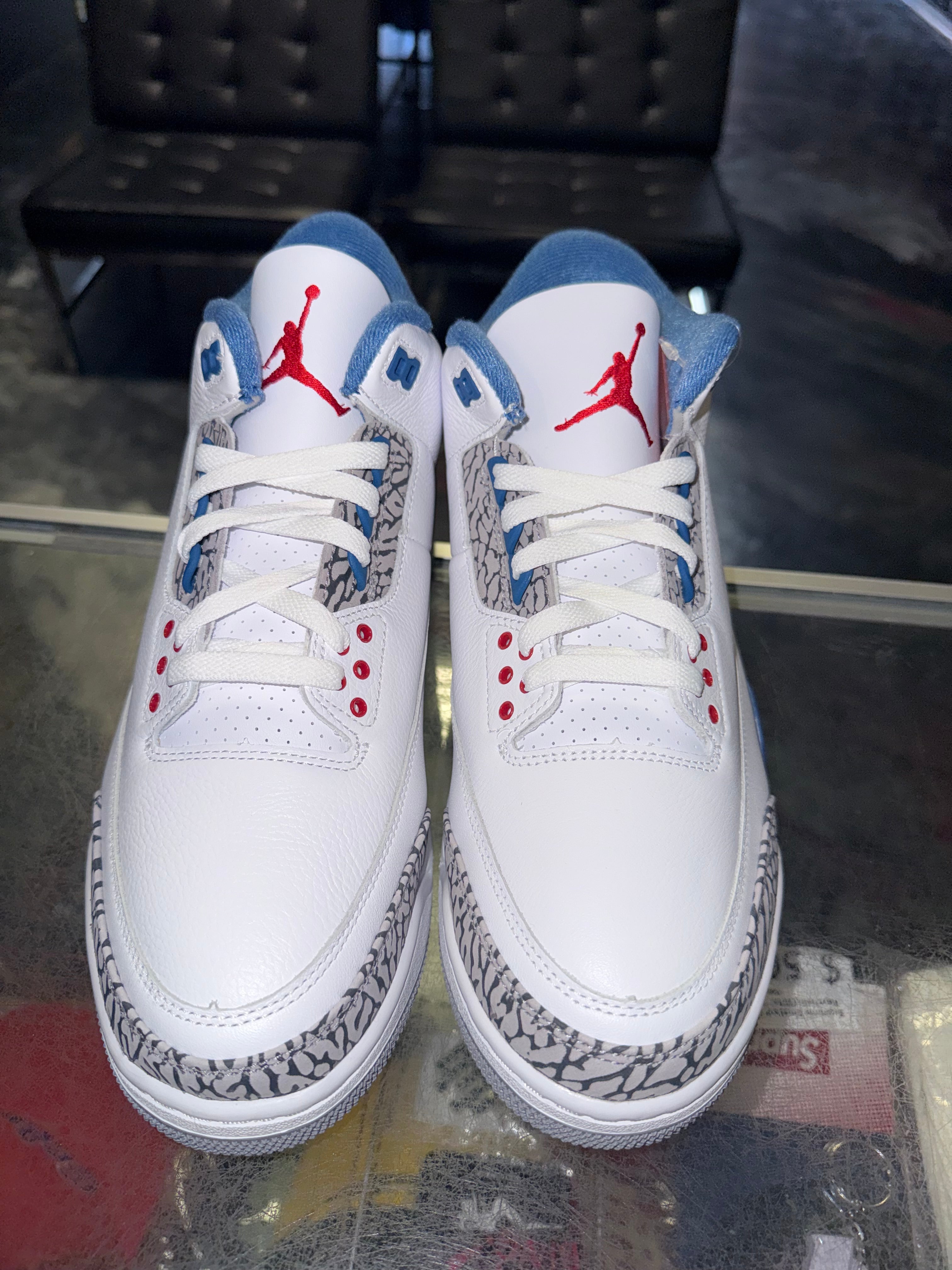 Size 11 Air Jordan 3 "True Blue" 2026 Brand New
