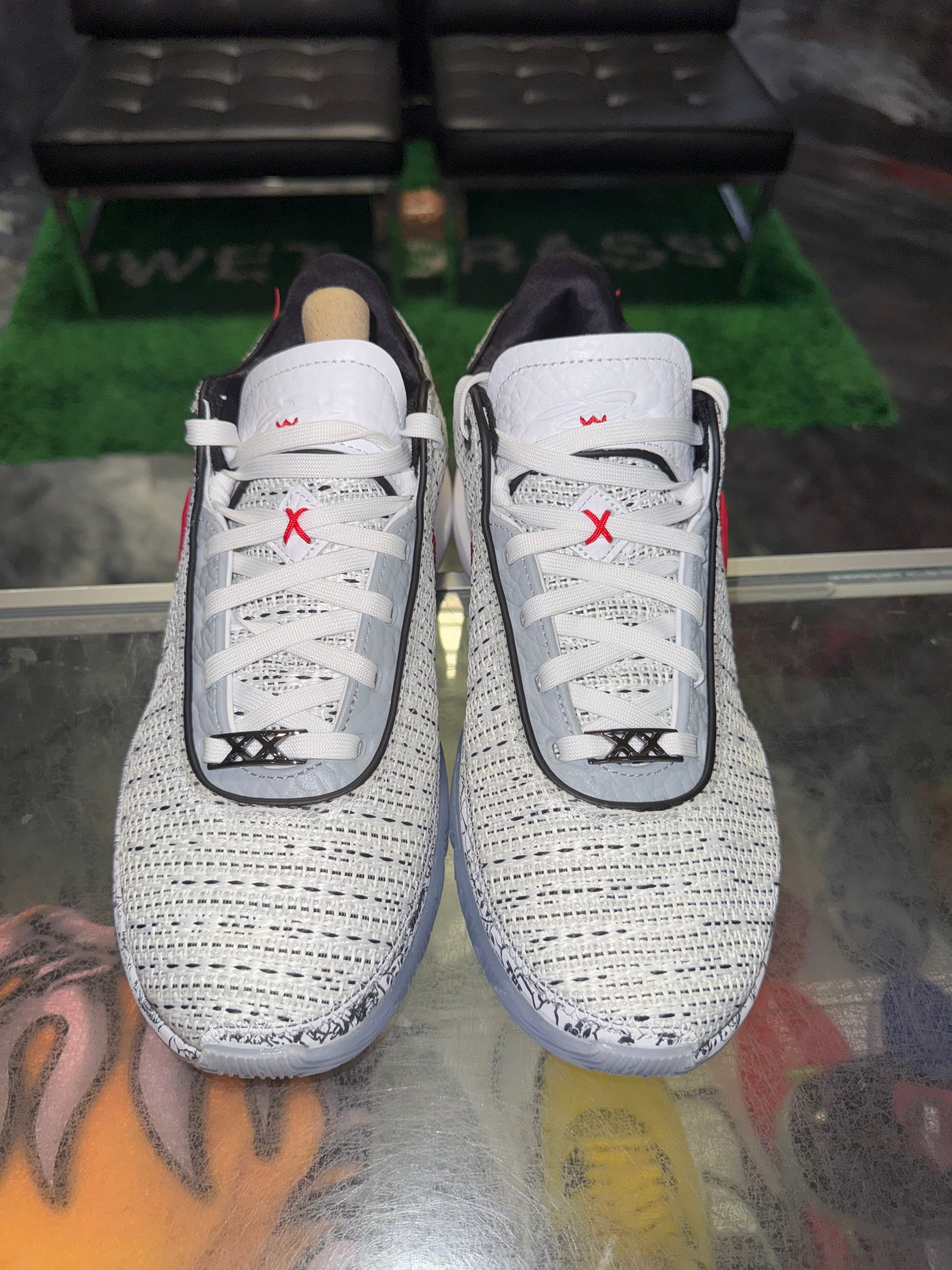 Size 9 Nike LeBron 20 “The Debut” Brand New