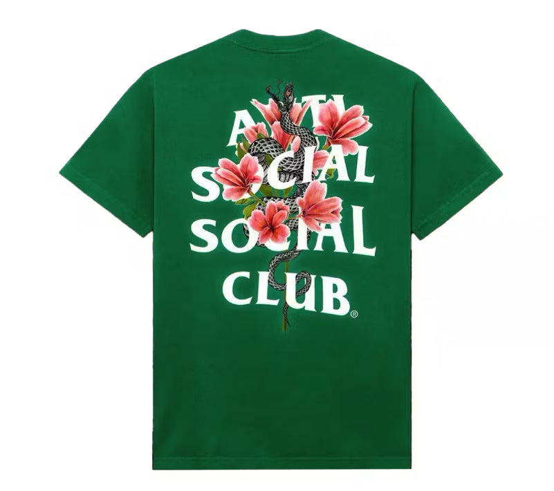 Size XL ASSC Hokkaido 3M Tee “Green” Brand New