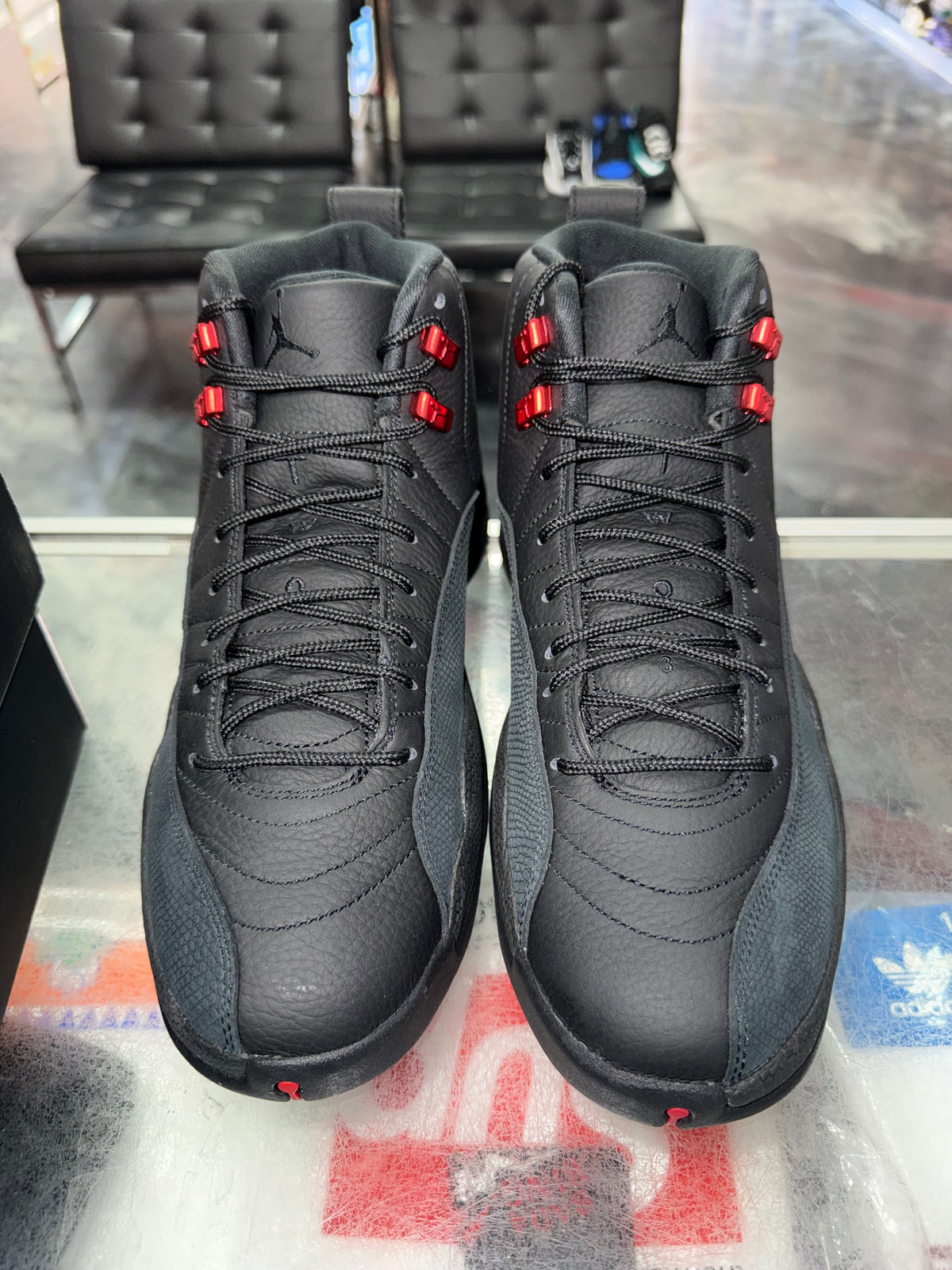 Size 11 Air Jordan 12 "Bloodline" Brand New