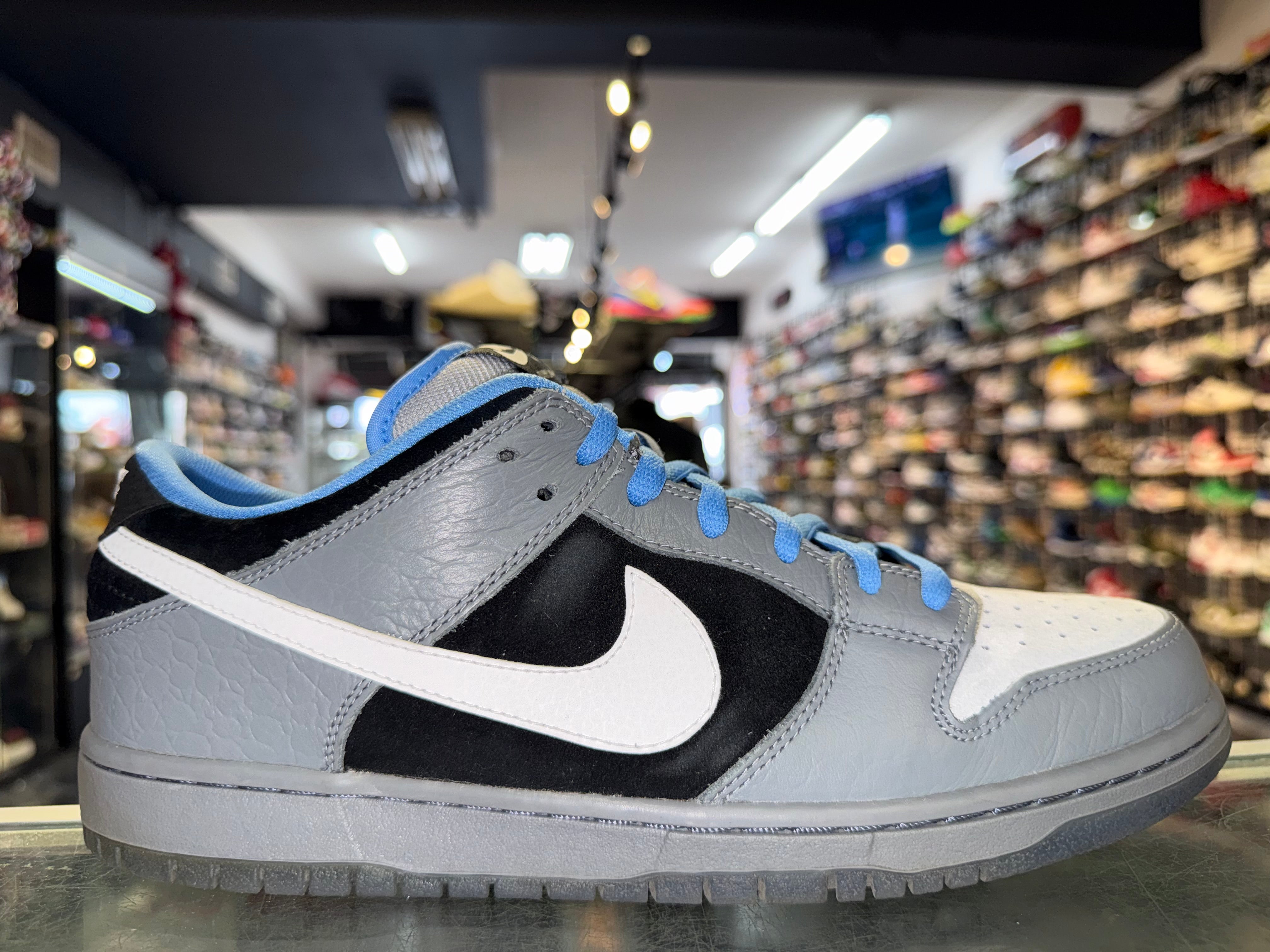 Size 10 Dunk Low SB "Petoskey Premier"
