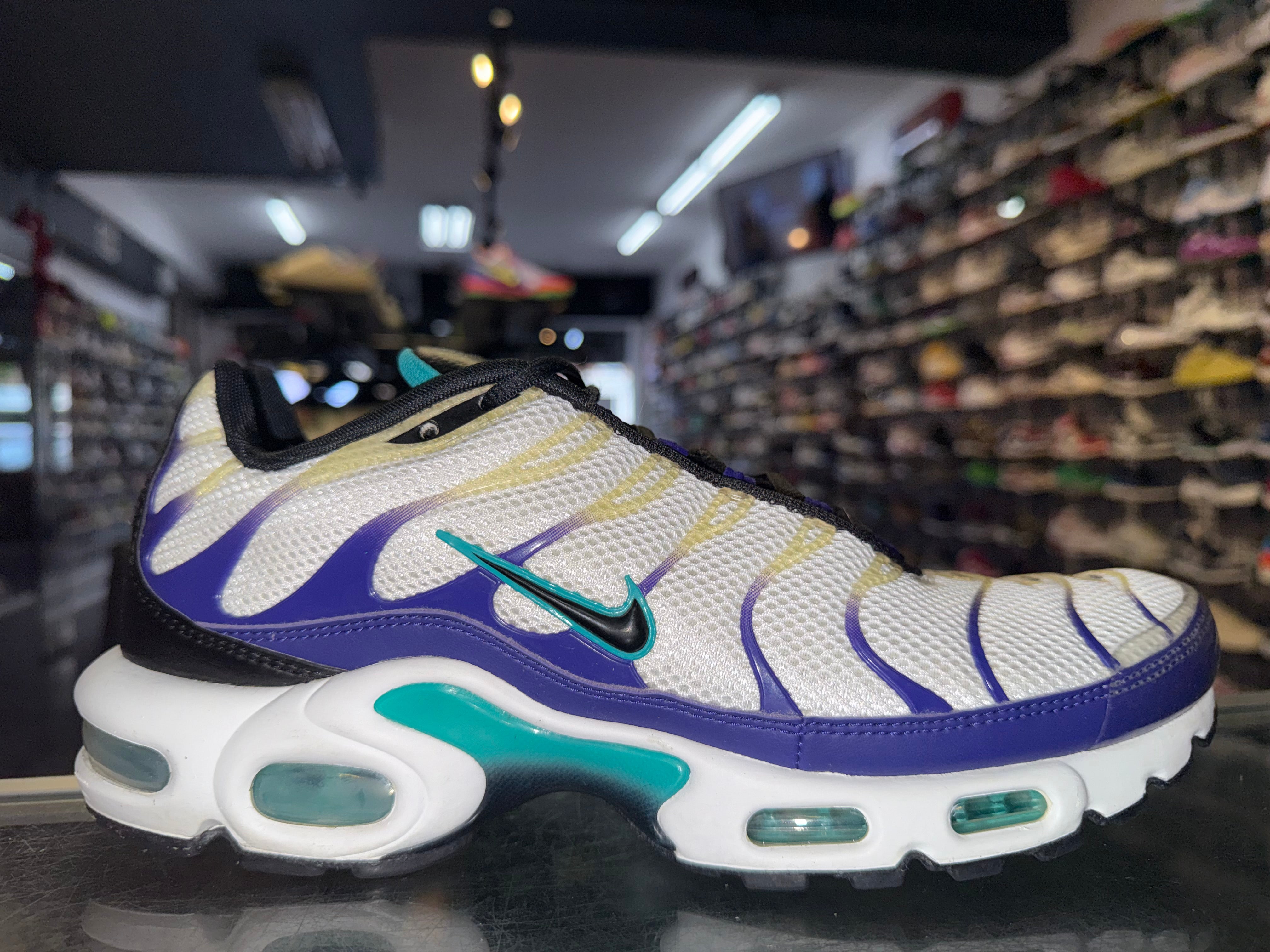 Size 9 Air Max Plus "White Grape Ice"