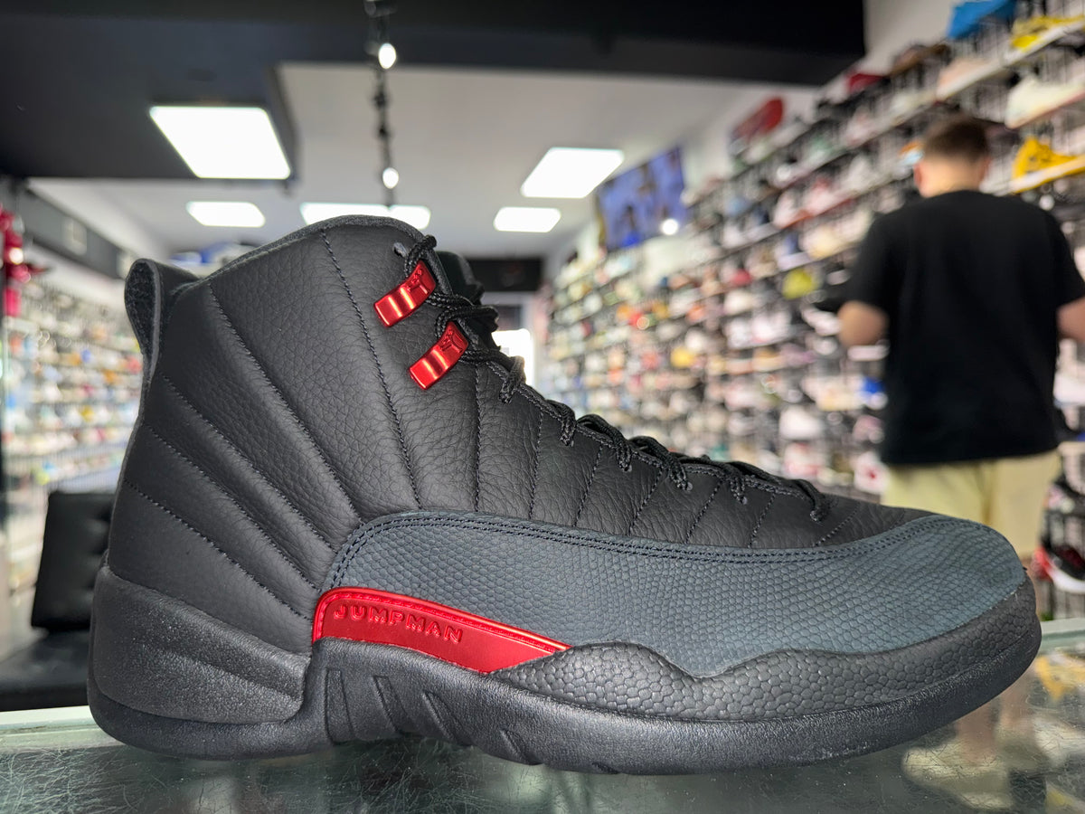 Size 11 Air Jordan 12 "Bloodline" Brand New