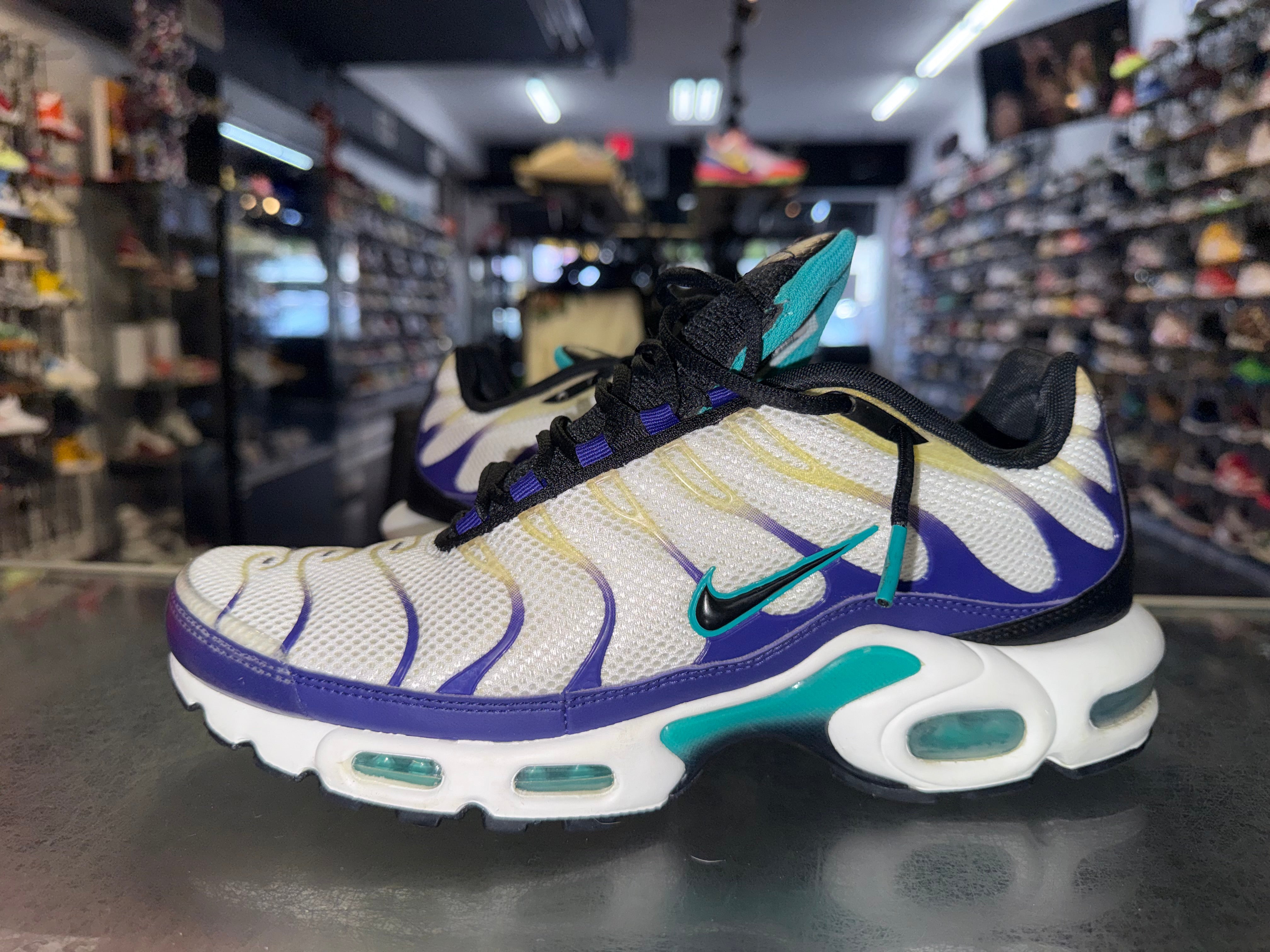 Size 9 Air Max Plus "White Grape Ice"