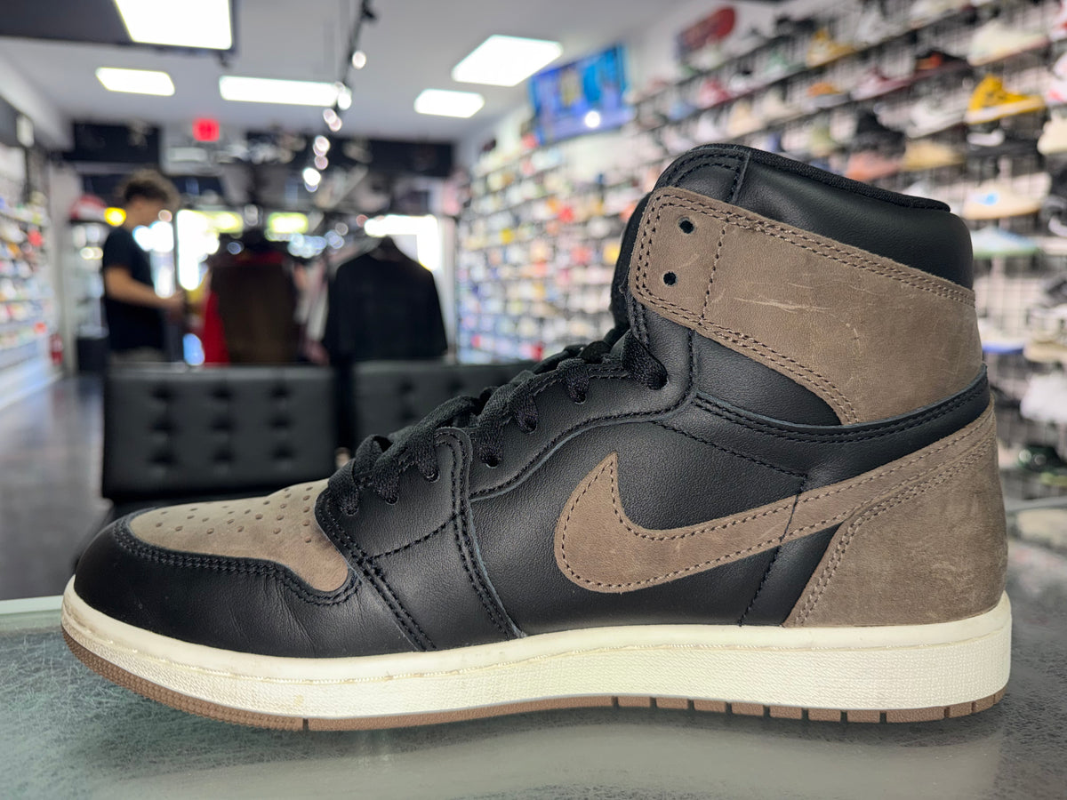 Size 11 Air Jordan 1 "Palomino"
