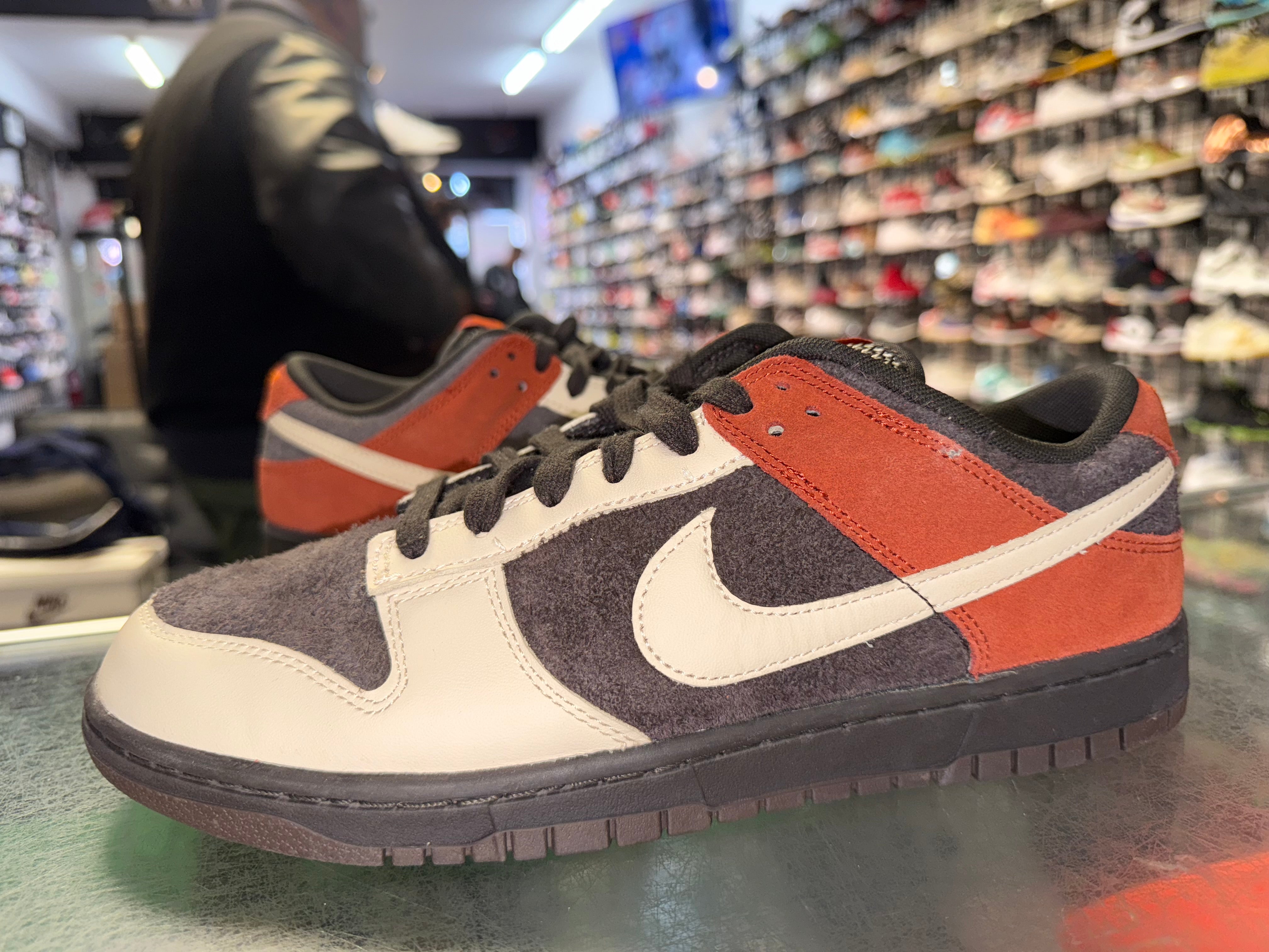 Size 10 Dunk Low "Red Panda" Worn 1x