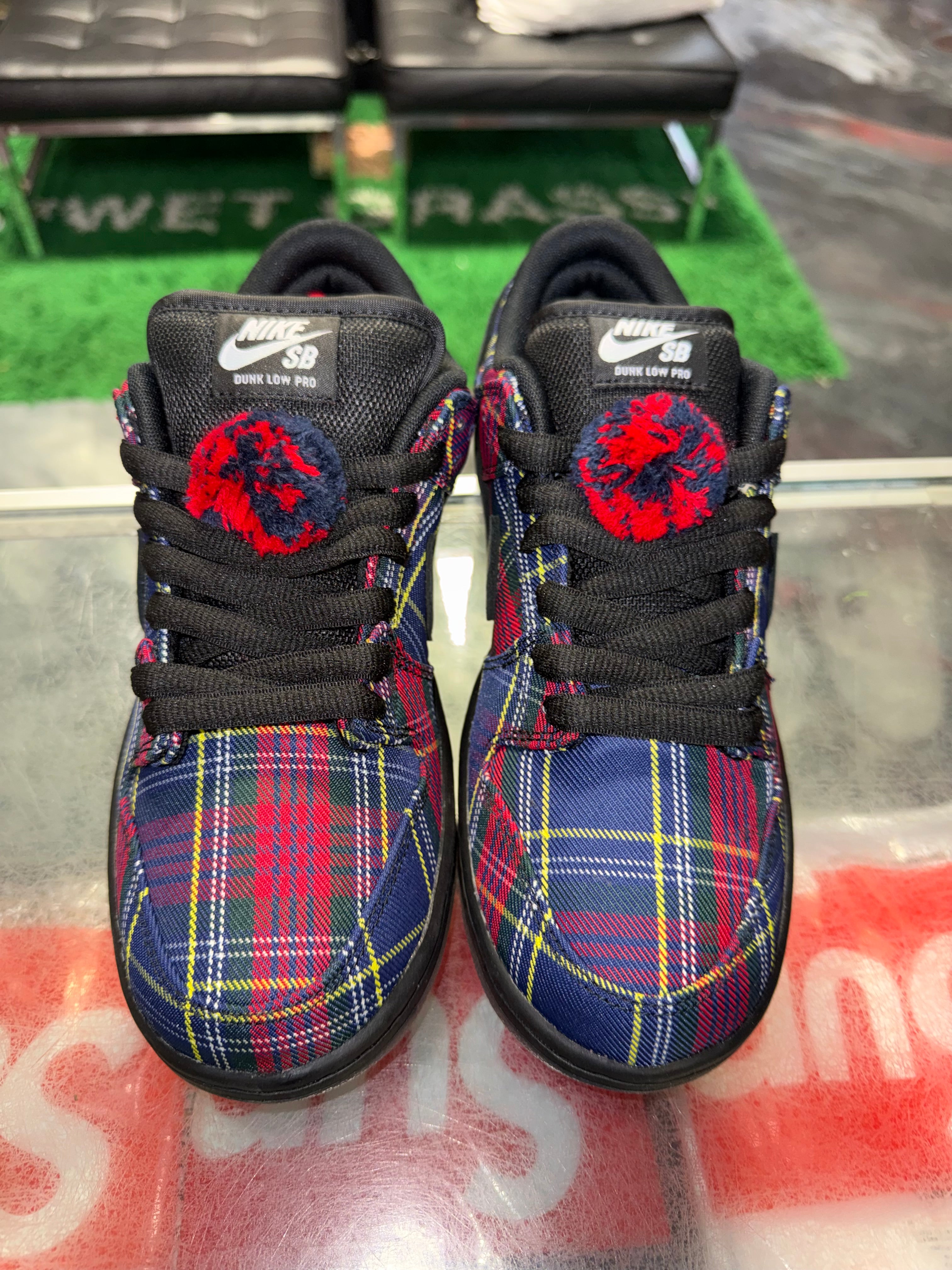 Size 9 Dunk Low SB "Nardwuar" Brand New