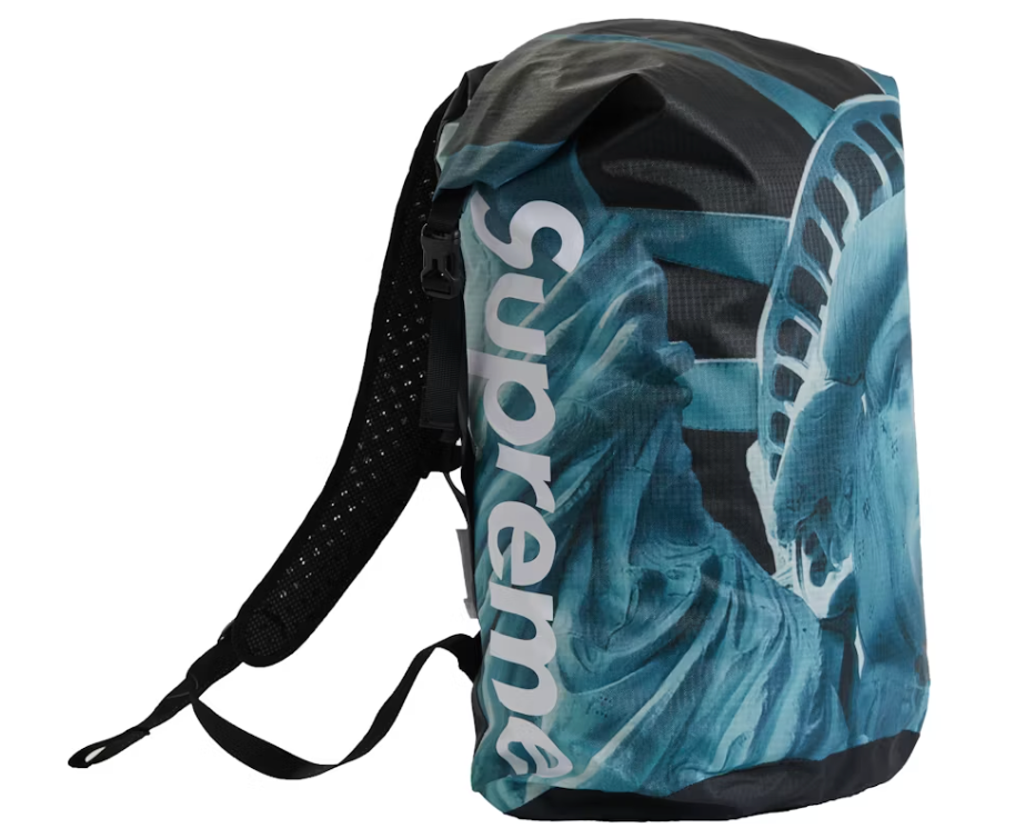 Supreme The North Face Statue of Liberty Waterproof Backpack "Black"
