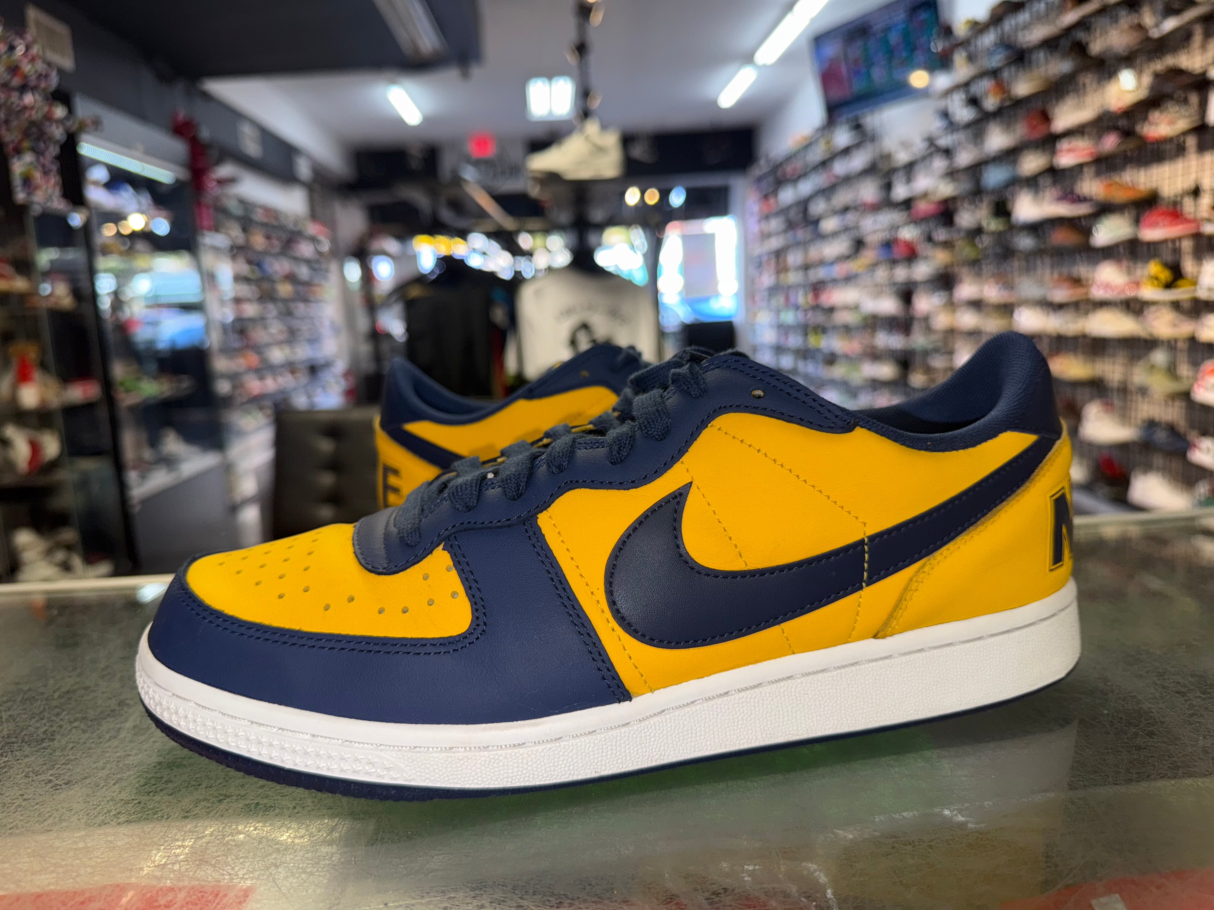 Size 10.5 Nike Terminator Low "University Gold"