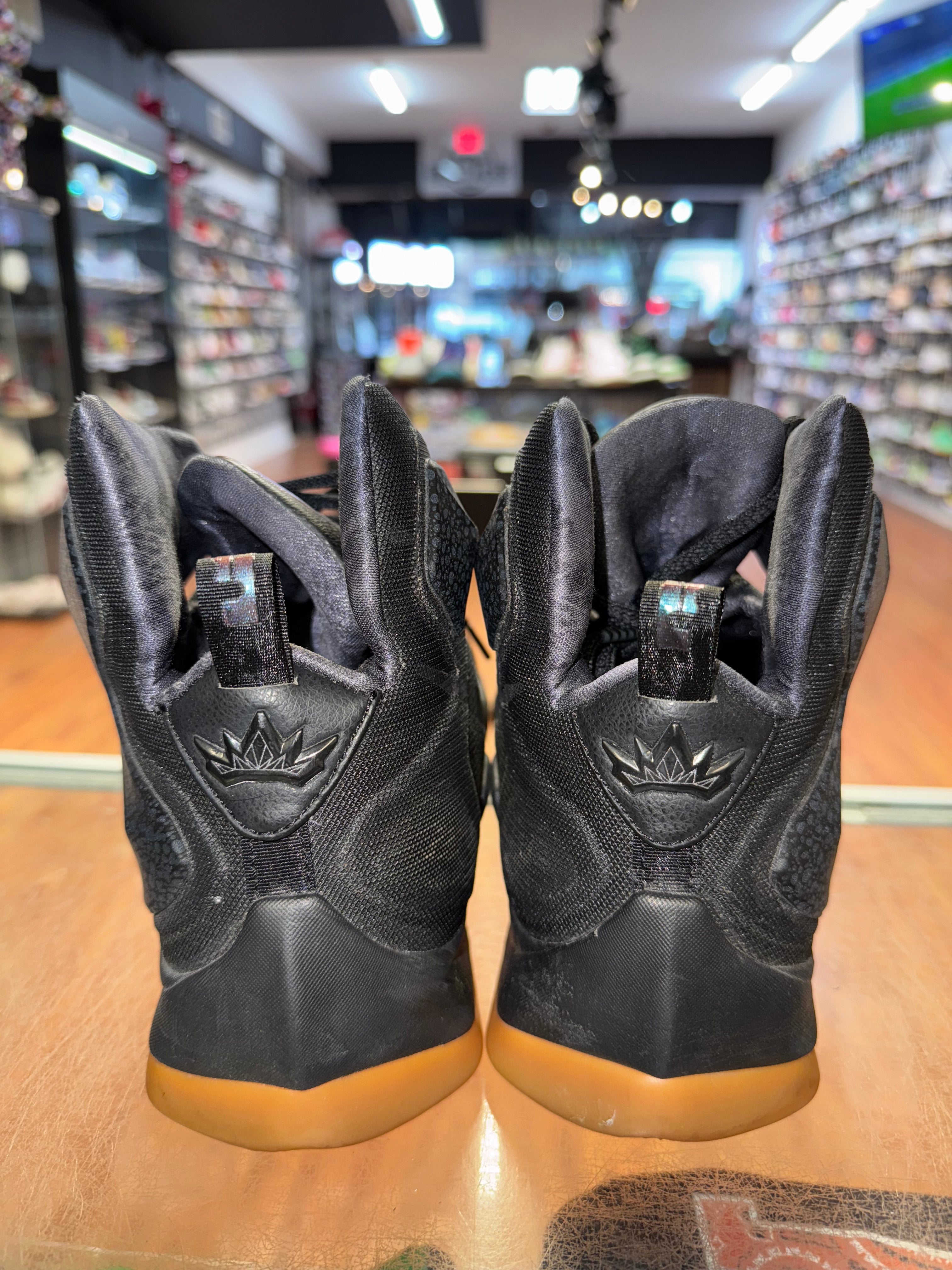Size 13 Lebron 13 "Black Lion"