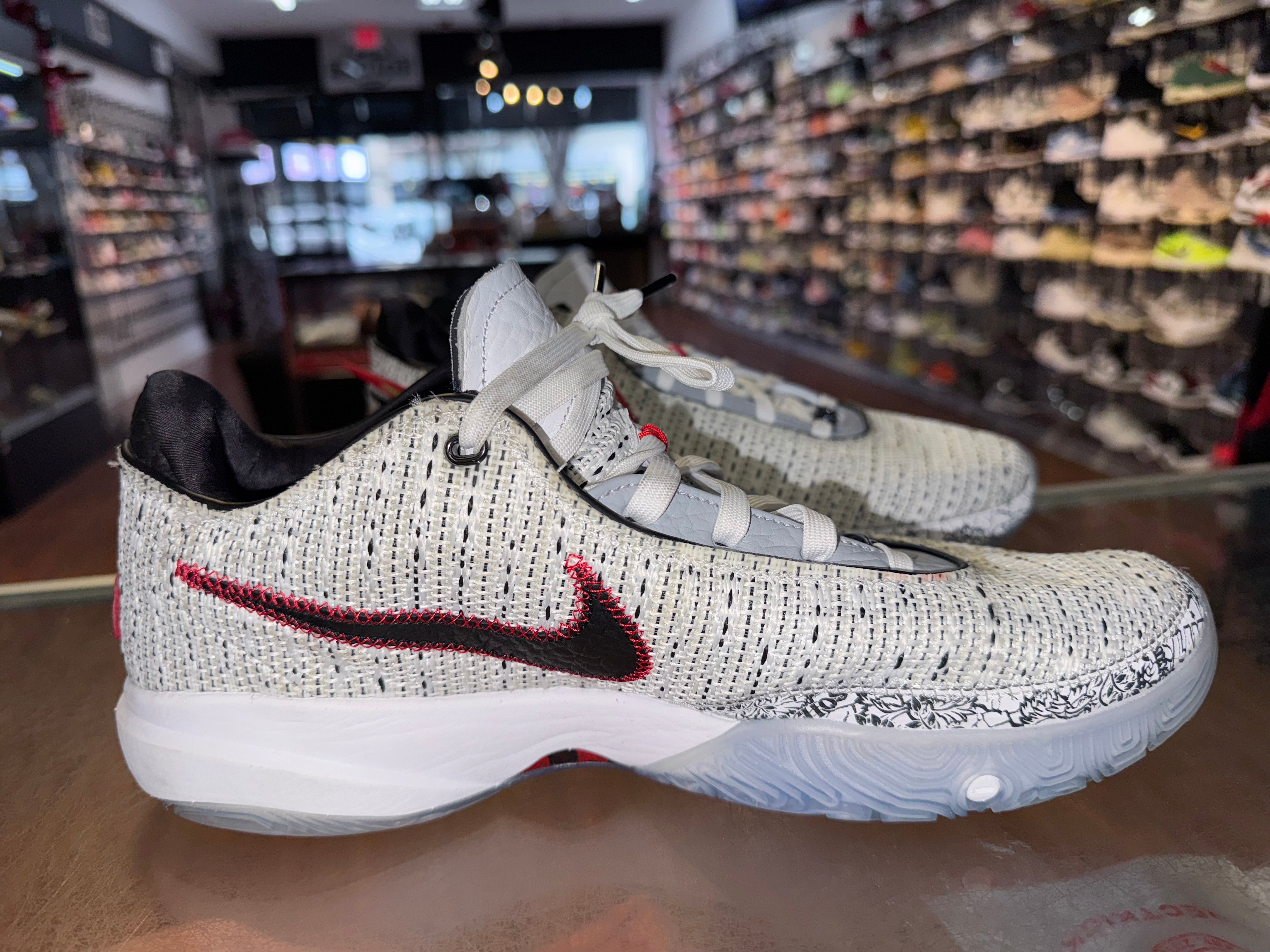Size 13 Nike Lebron 20 “The Debut”