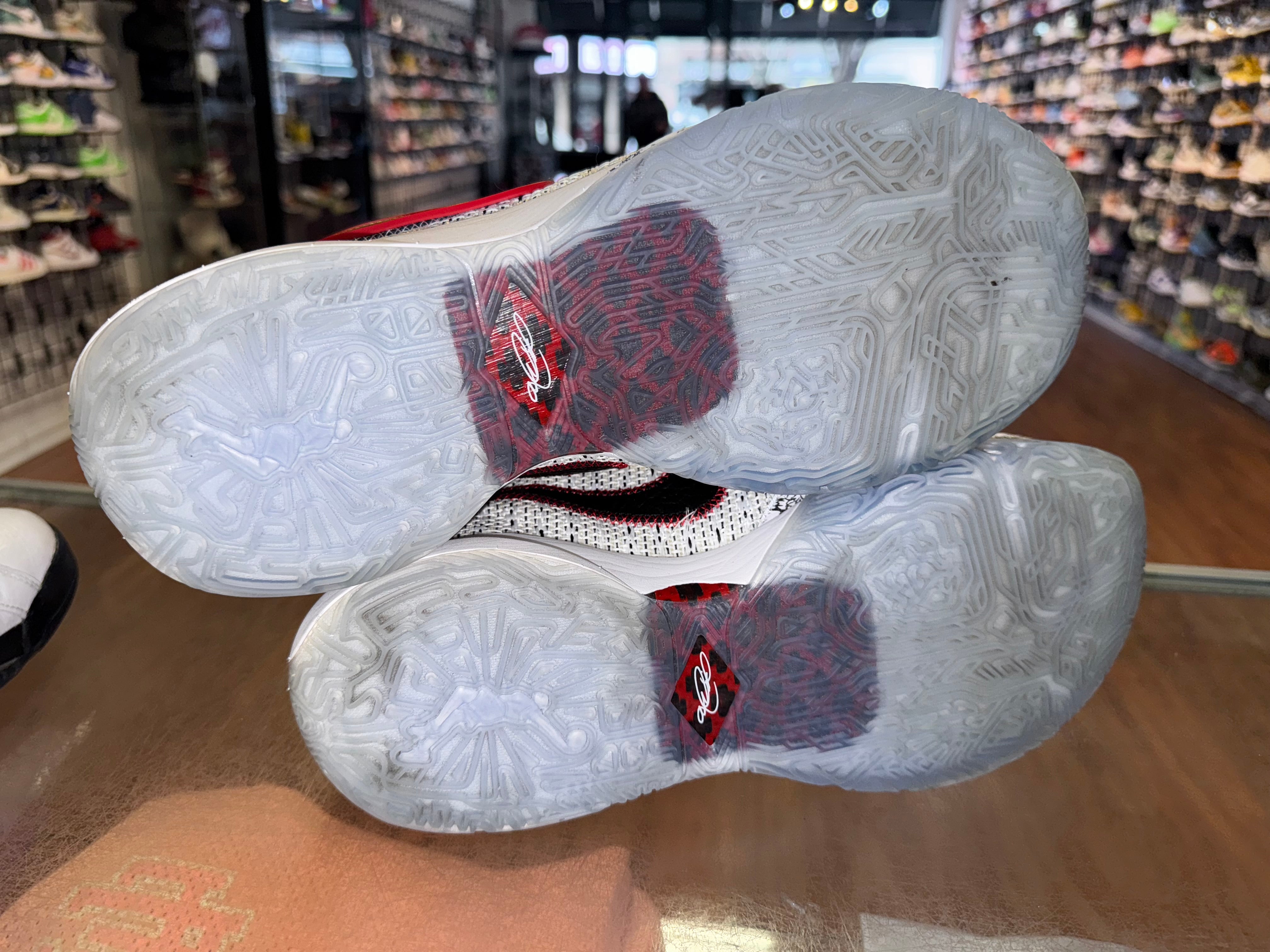 Size 13 Nike Lebron 20 “The Debut”