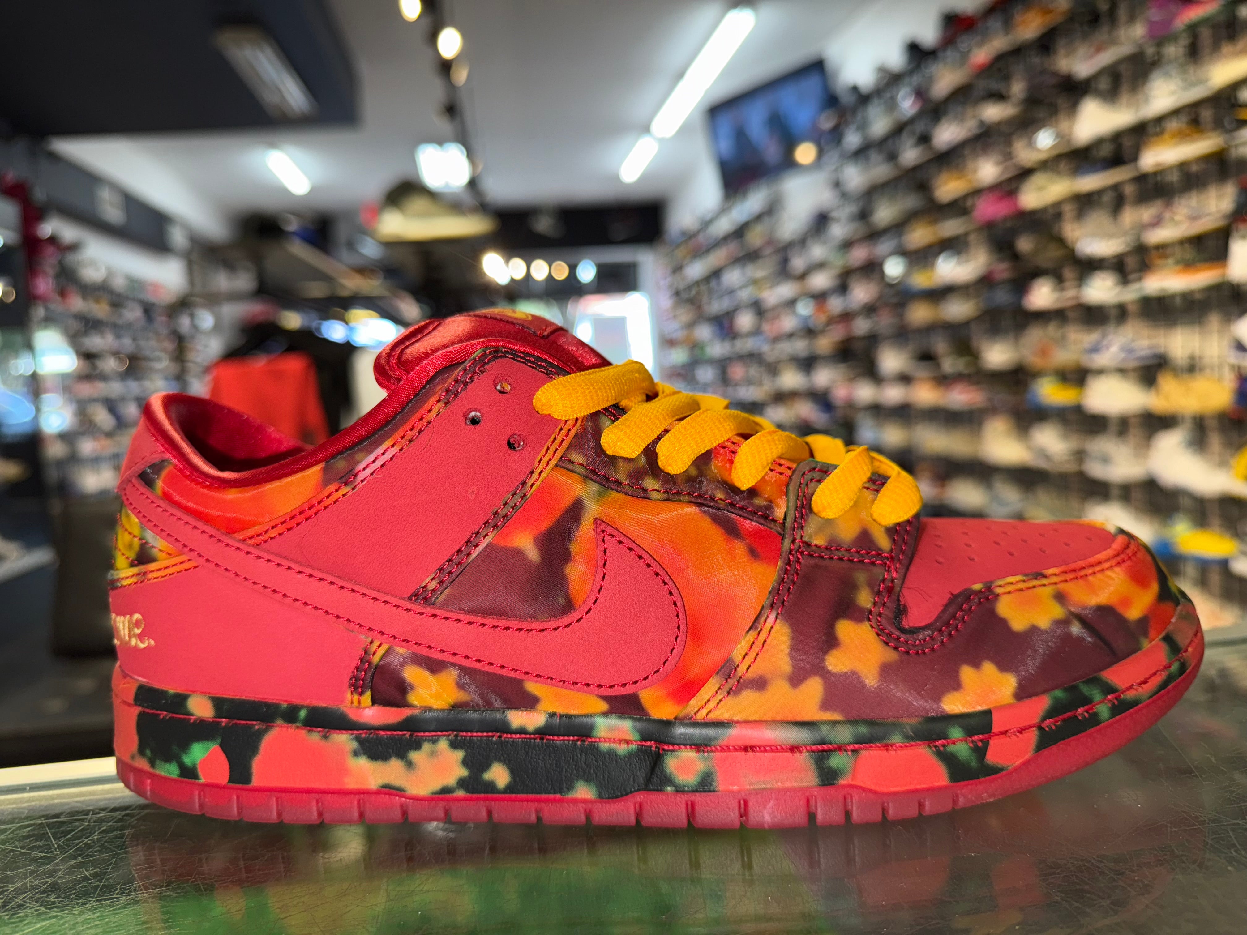 Size 9.5 Dunk Low SB “Wizard of Oz” Worn 1x