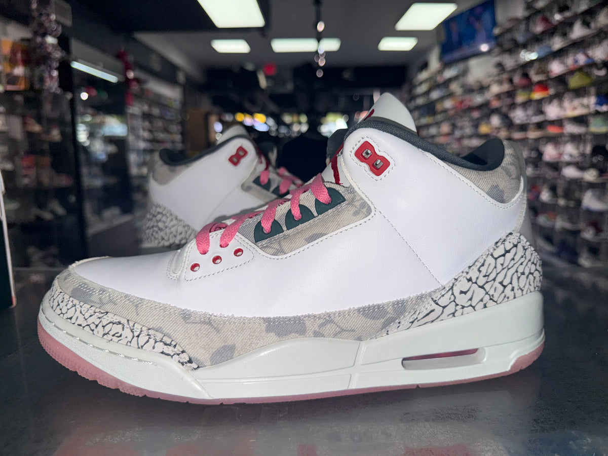 Size 13 Air Jordan 3 "Wings"