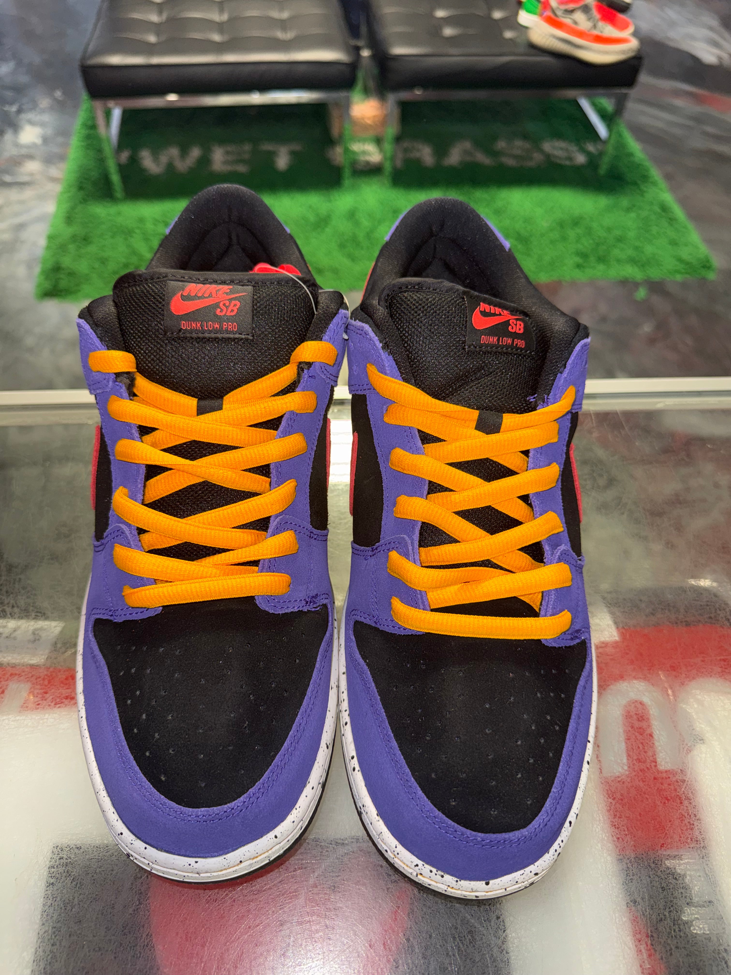 Size 13 Dunk Low SB "ACG Terra" Brand New