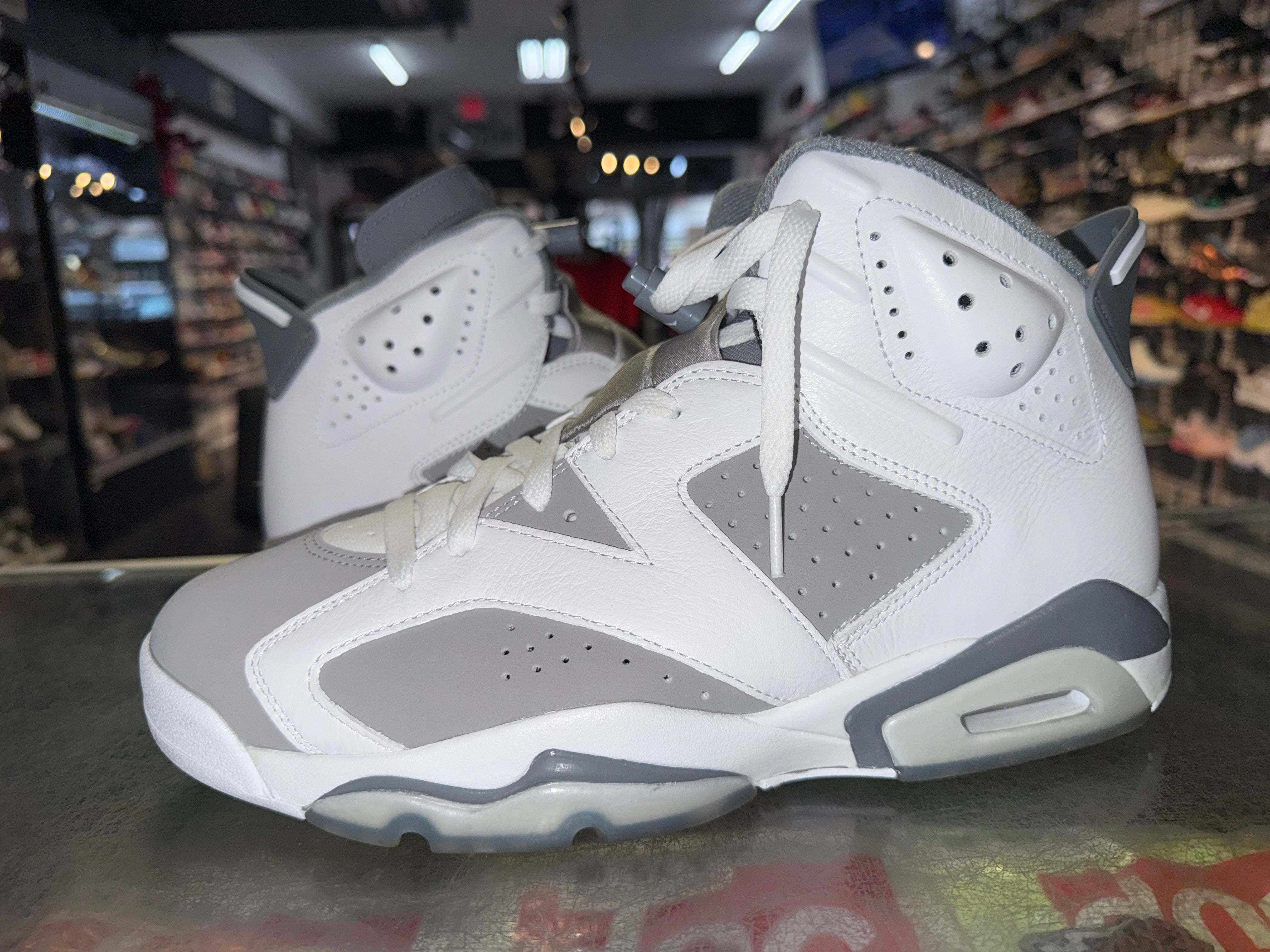 Size 10 Air Jordan 6 "Cool Grey"