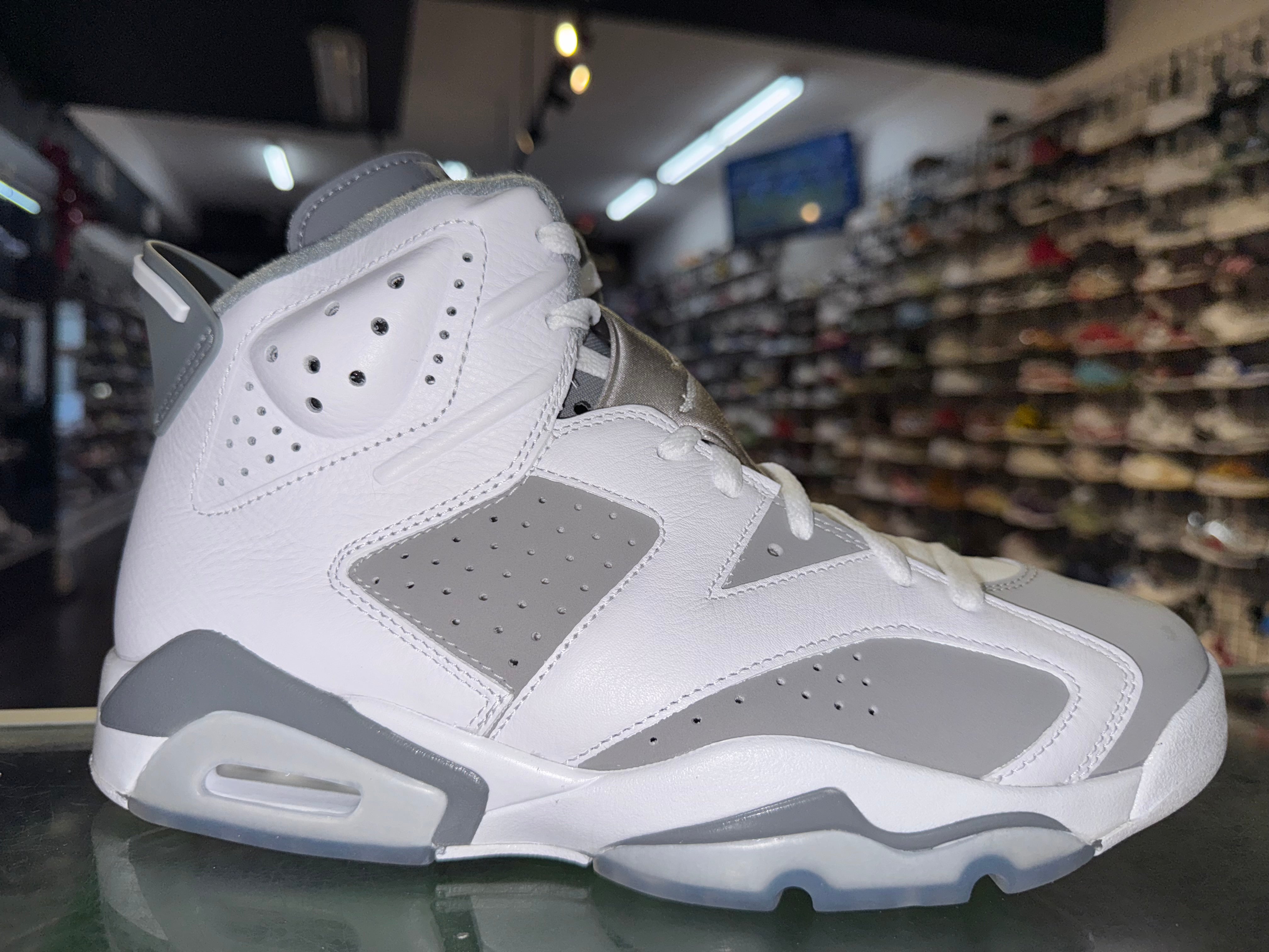 Size 9.5 Air Jordan 6 "Cool Grey"