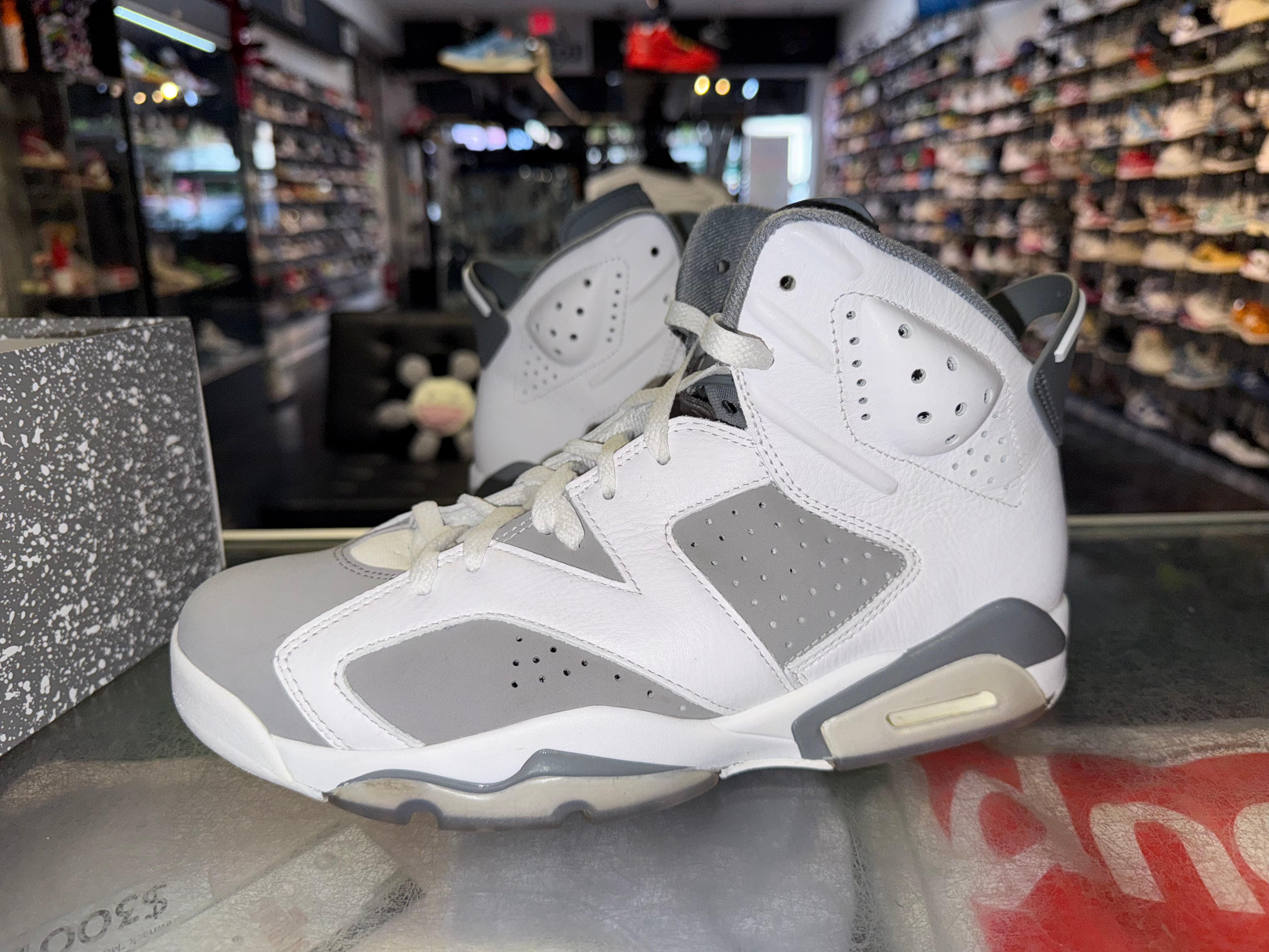 Size 9.5 Air Jordan 6 "Cool Grey"
