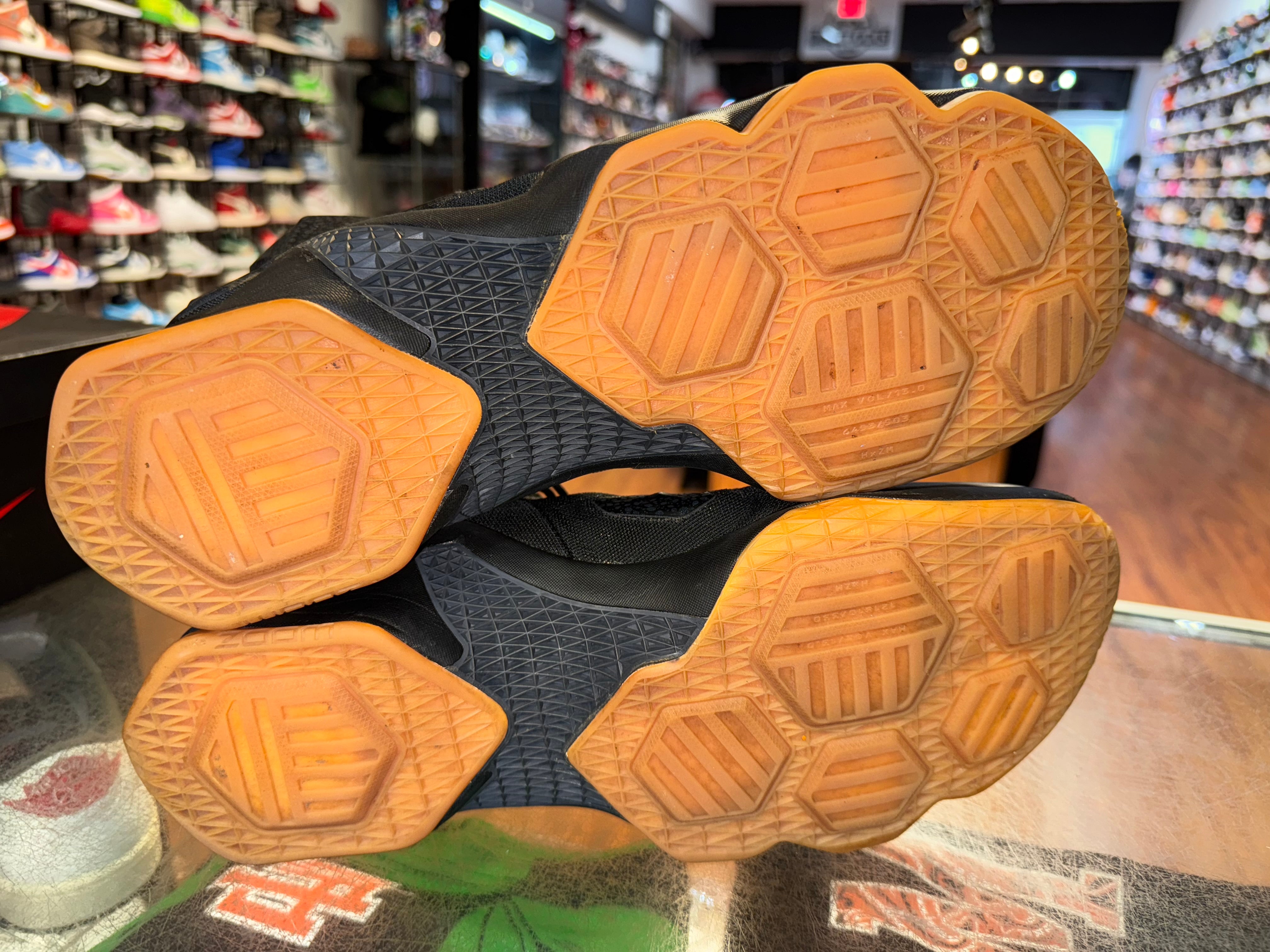 Size 13 Lebron 13 "Black Lion"