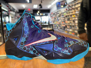 Size 10.5 Lebron 11 "Summit Lake Hornets"