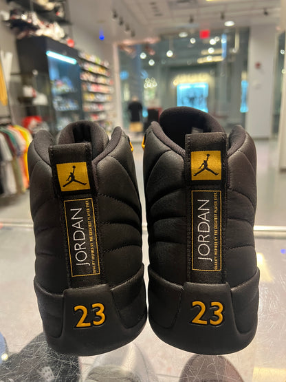 Size 10 Air Jordan 12 “Black Taxi”Brand New (Mall)