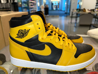 Size 10 Air Jordan 1 “Pollen” (Mall)