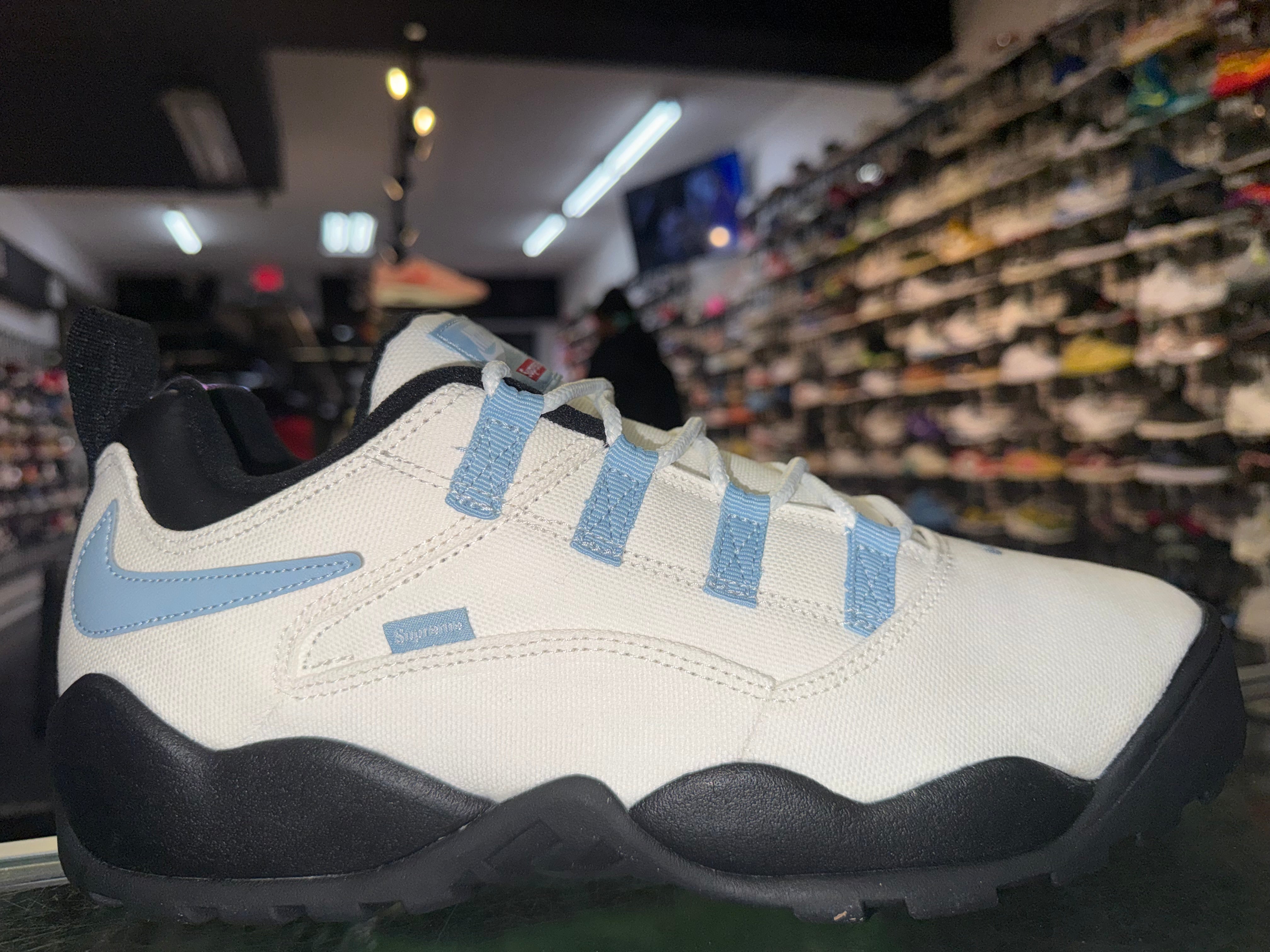 Size 13 SB Darwin Low Supreme "Sail" Brand New