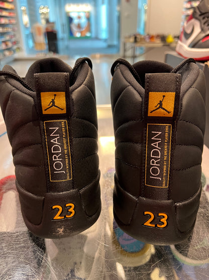 Size 10.5 Air Jordan 12 "Black Taxi" Brand New (Mall)