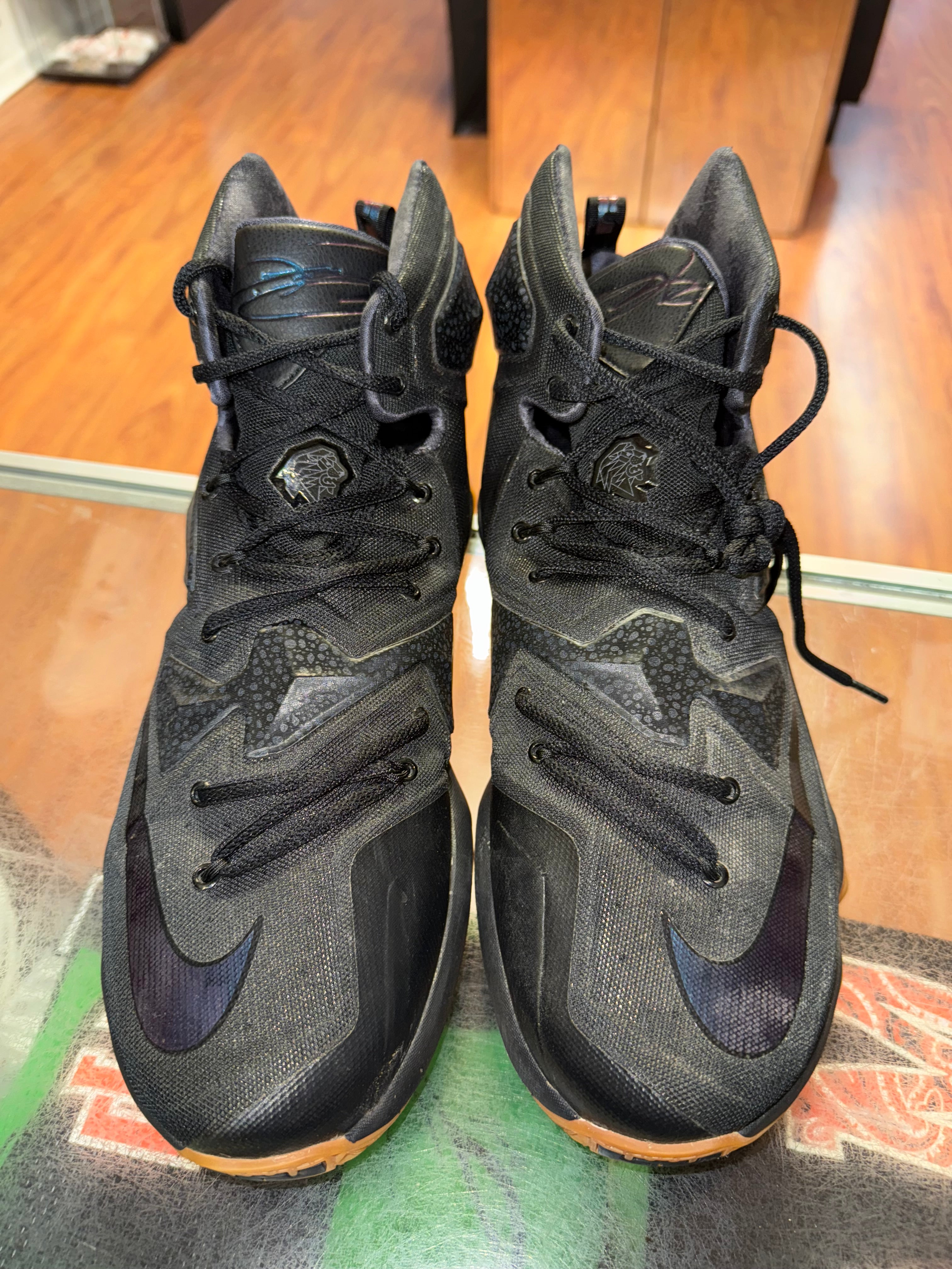 Size 13 Lebron 13 "Black Lion"