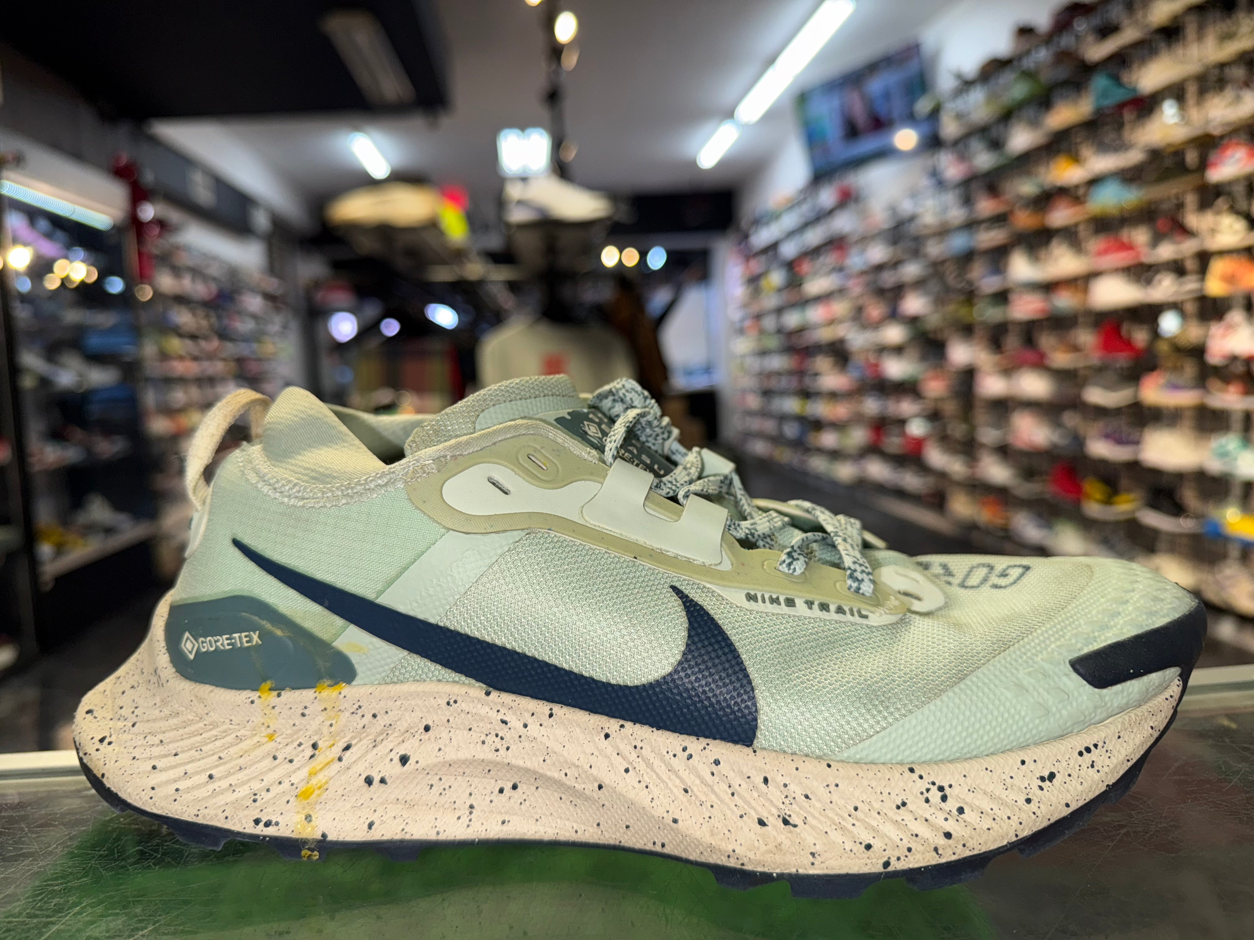 Size 7.5 Nike Pegasus Gore Tex - NB