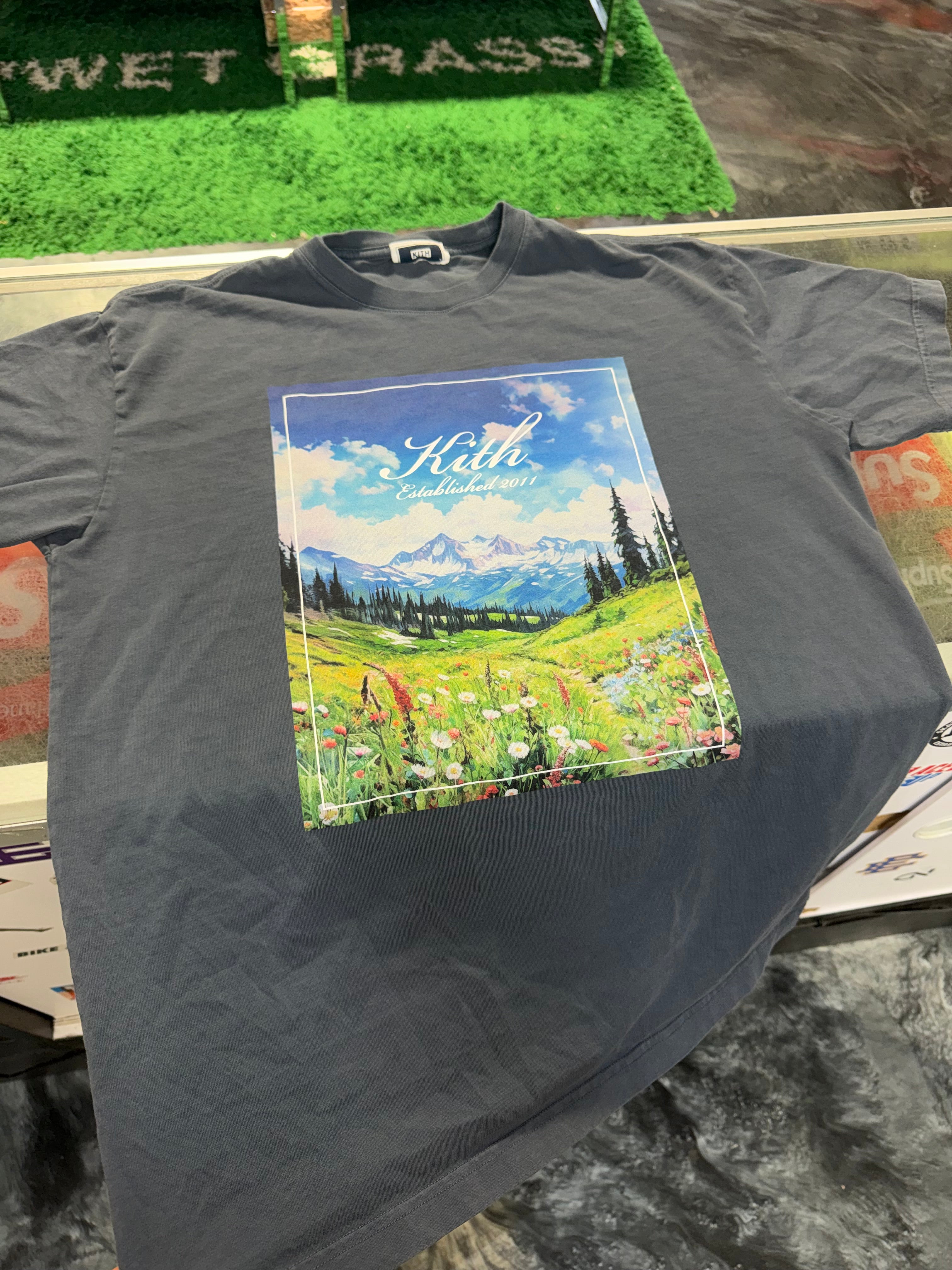 Size S Kith Landscape Tee “Torpedo”