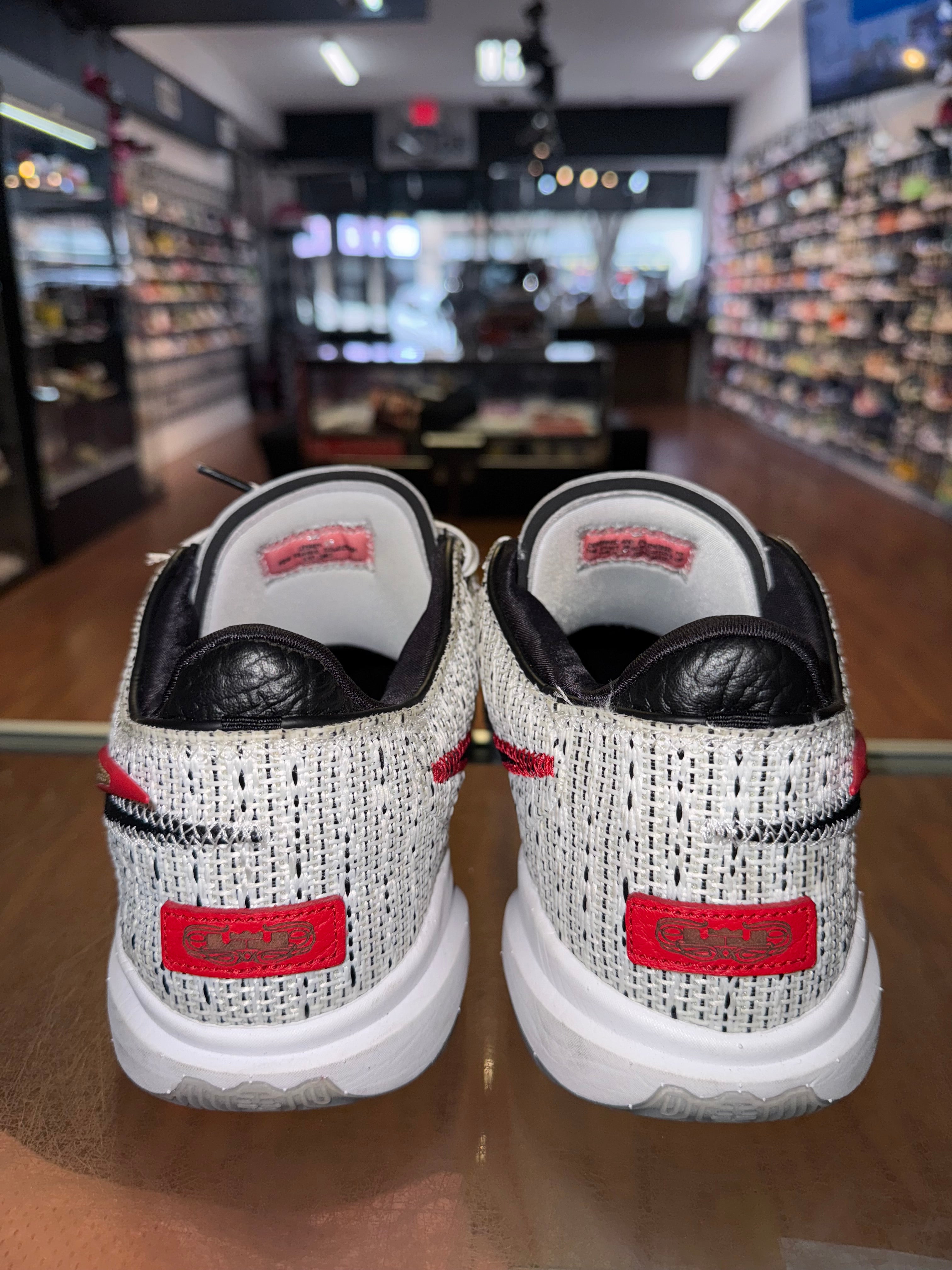 Size 13 Nike Lebron 20 “The Debut”