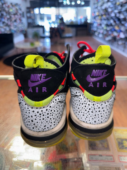 Size 12 Air Trainer Max 94’ “What The” (MAMO)