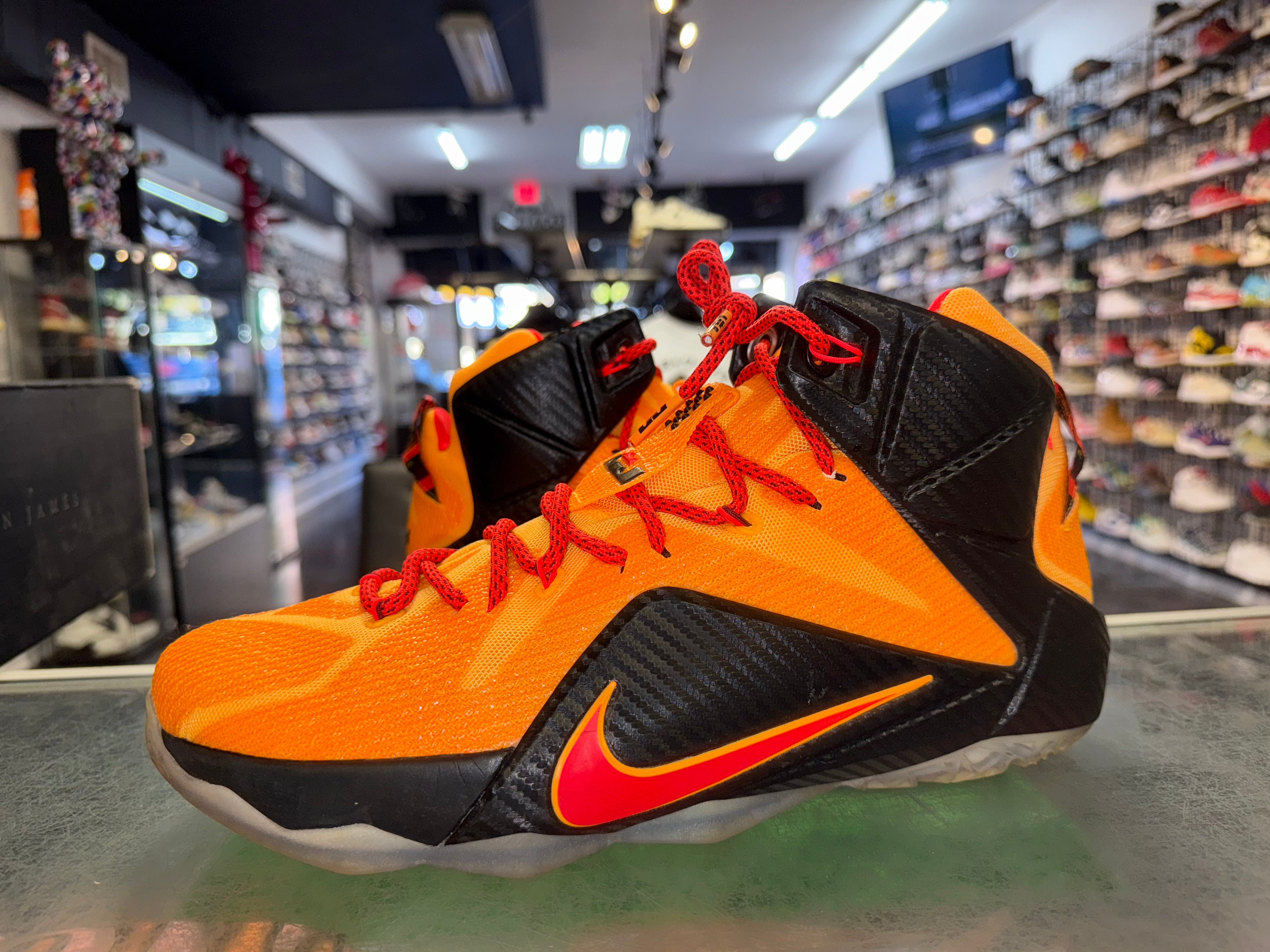 Size 12 Lebron 12 "Witness"