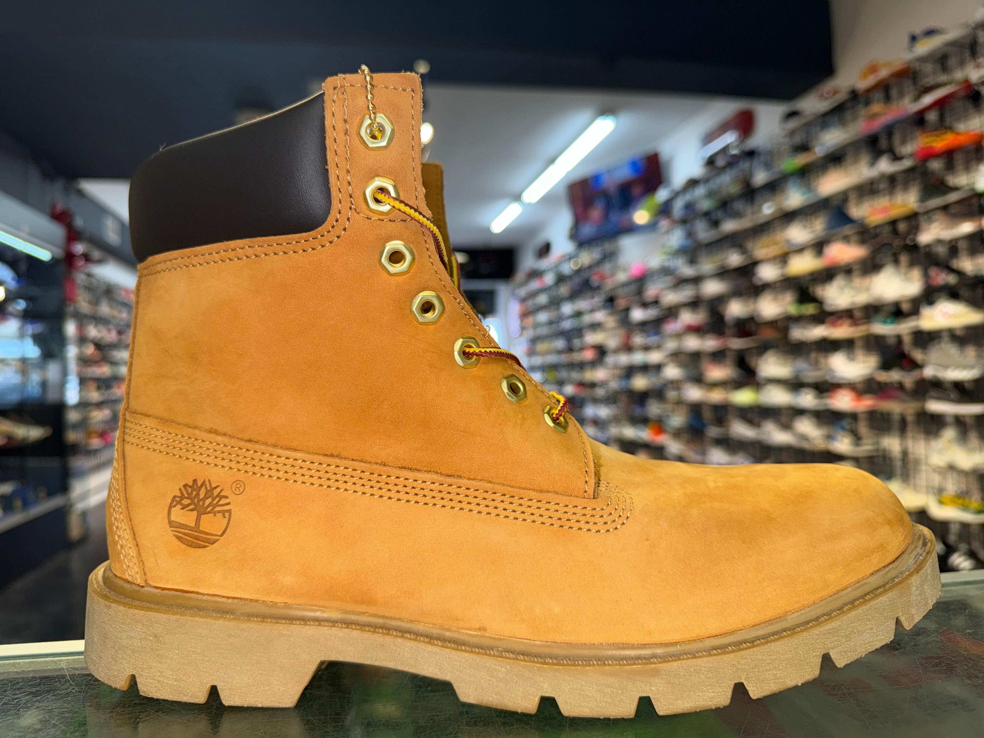 Size 11.5 Timberland 6 Inch Boot “Wheat” Brand New