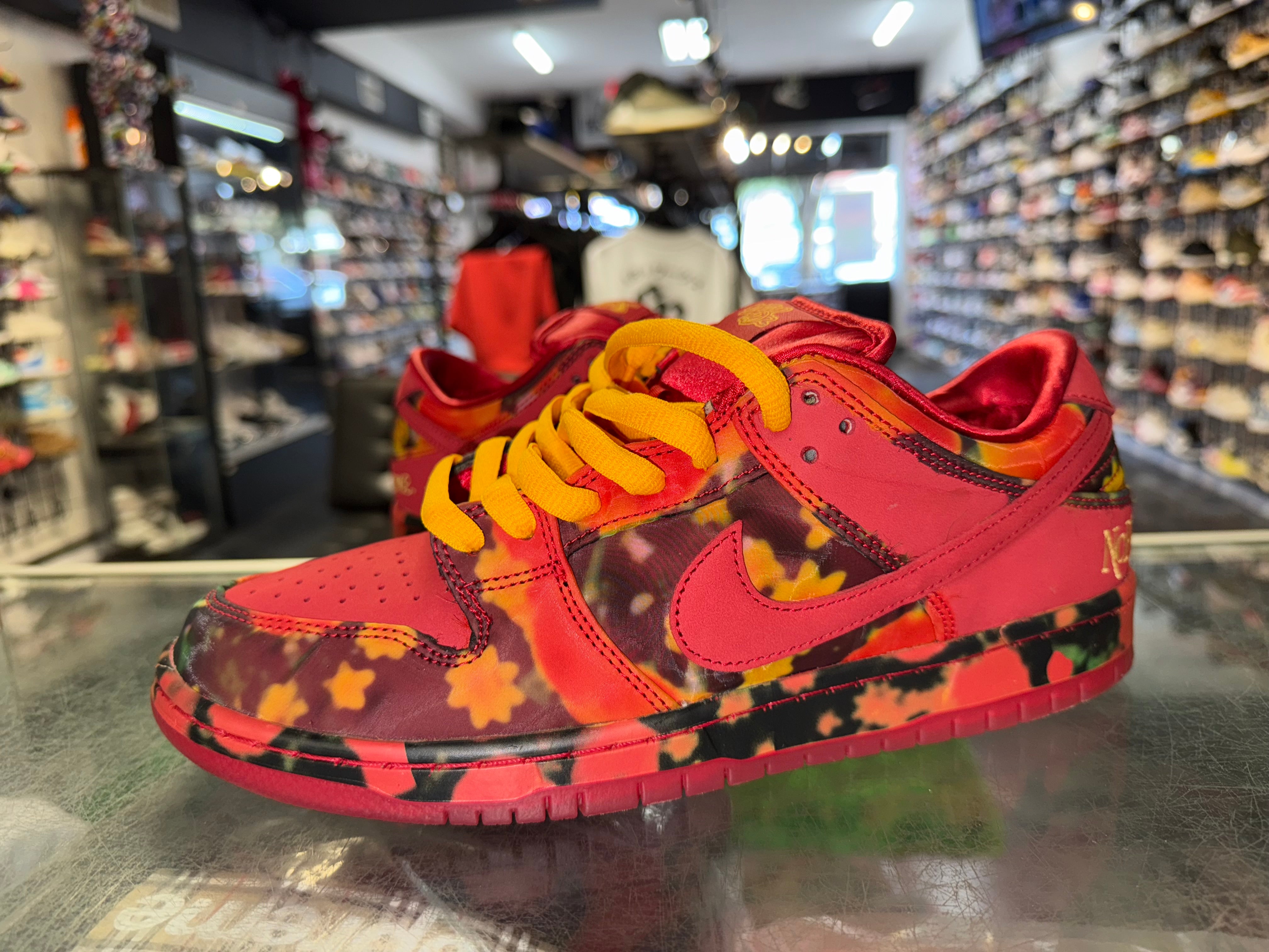 Size 9.5 Dunk Low SB “Wizard of Oz” Worn 1x