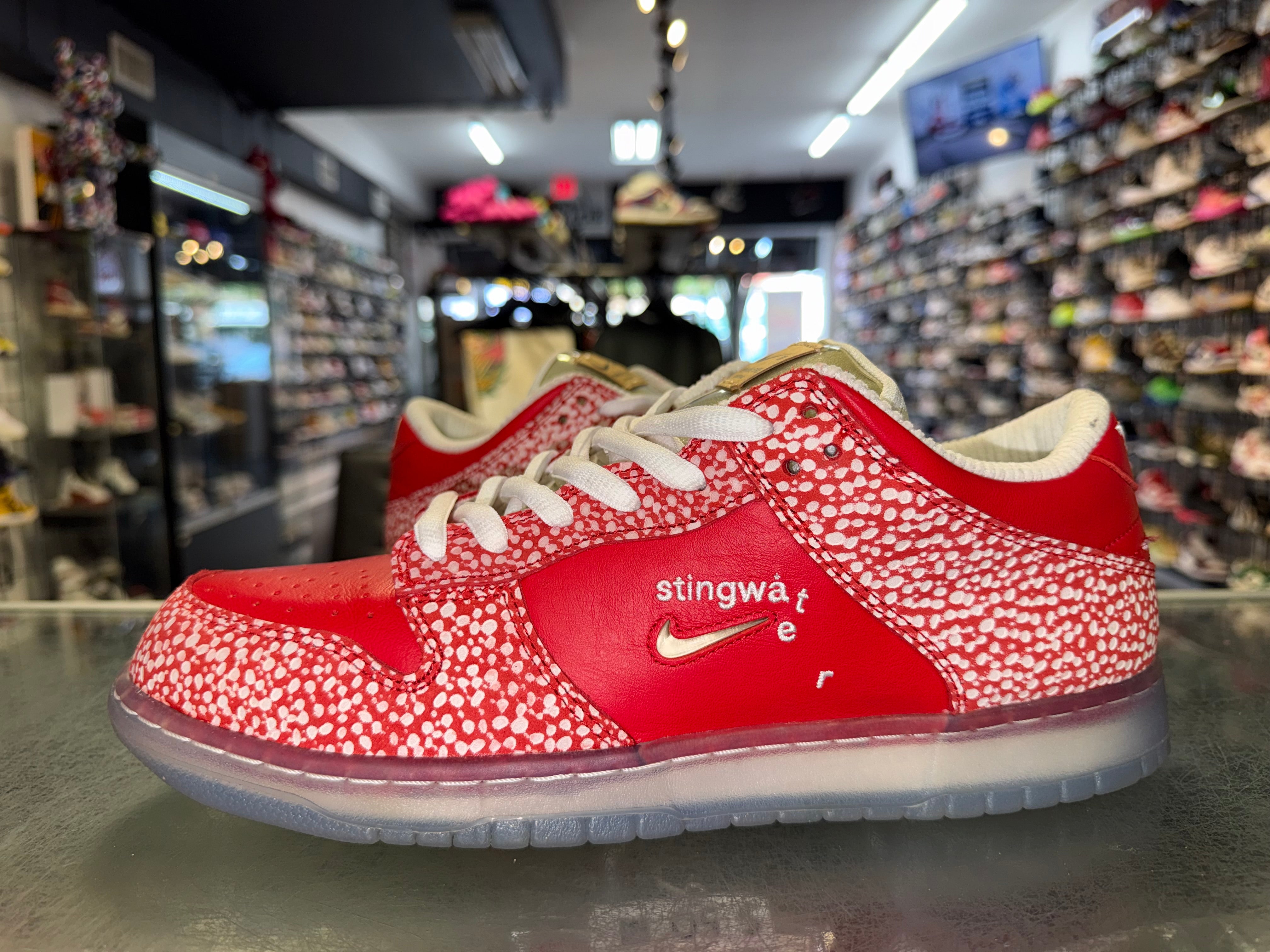 Size 12 Dunk Low SB "Stingwater Magic Mushroom" Worn 1x