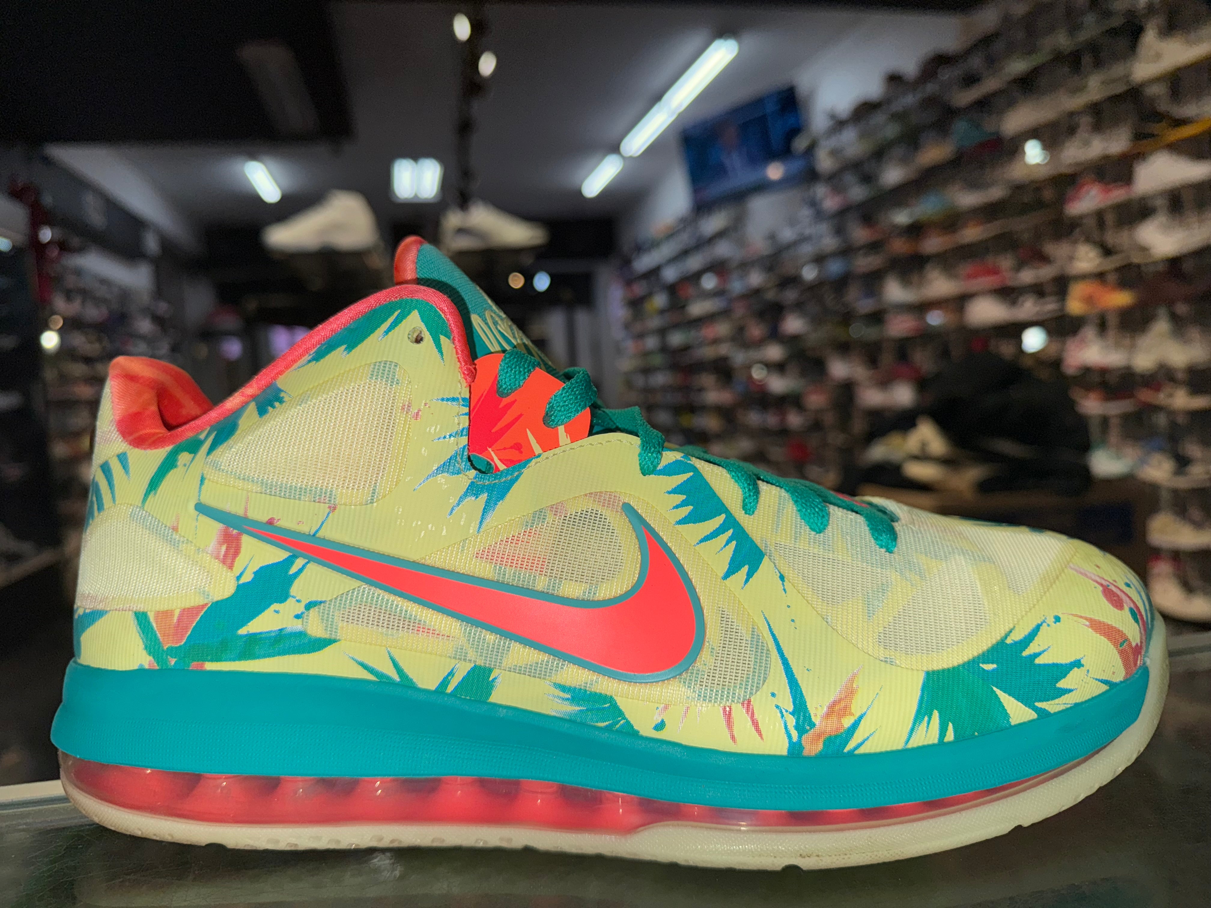 Size 12 Lebron 9 Low "LeBronald Palmer"
