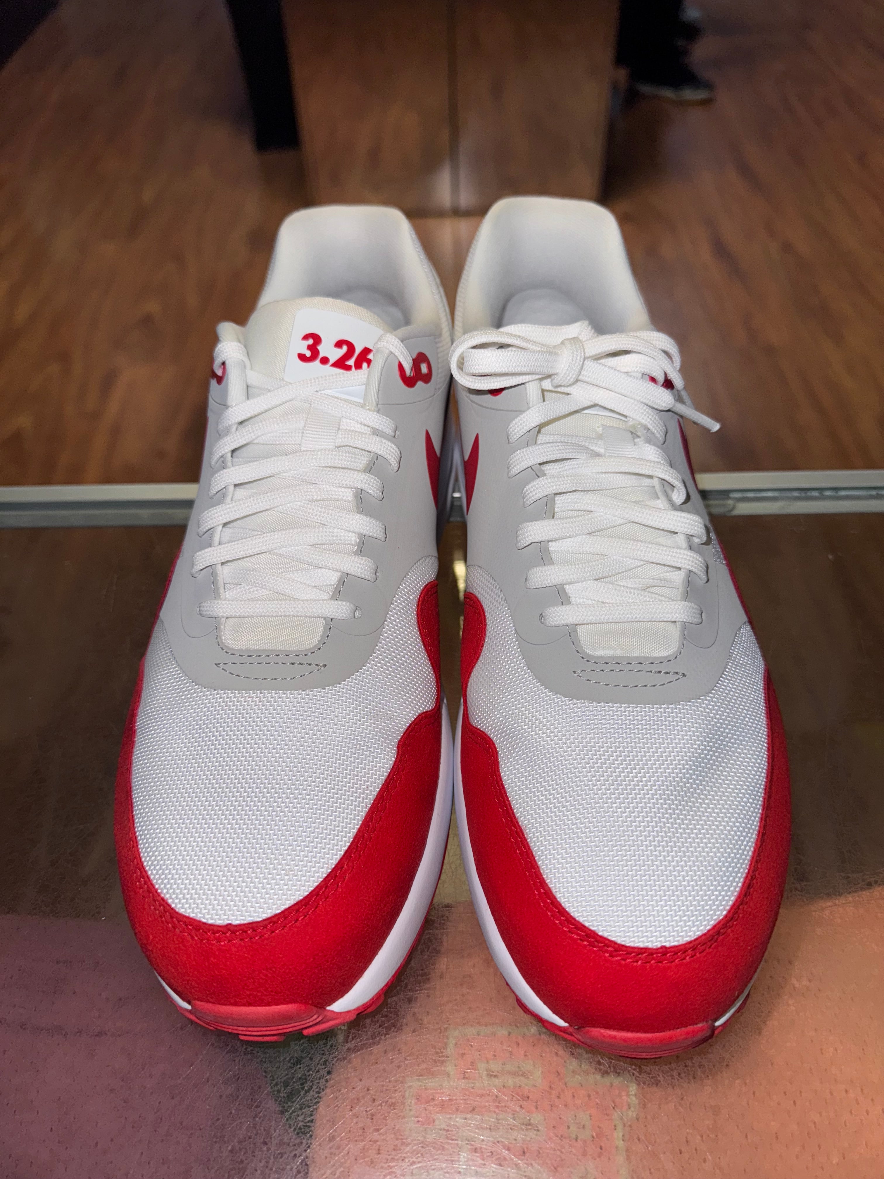 Size 10.5 Air Max 1 Ultra “Air Max Day”
