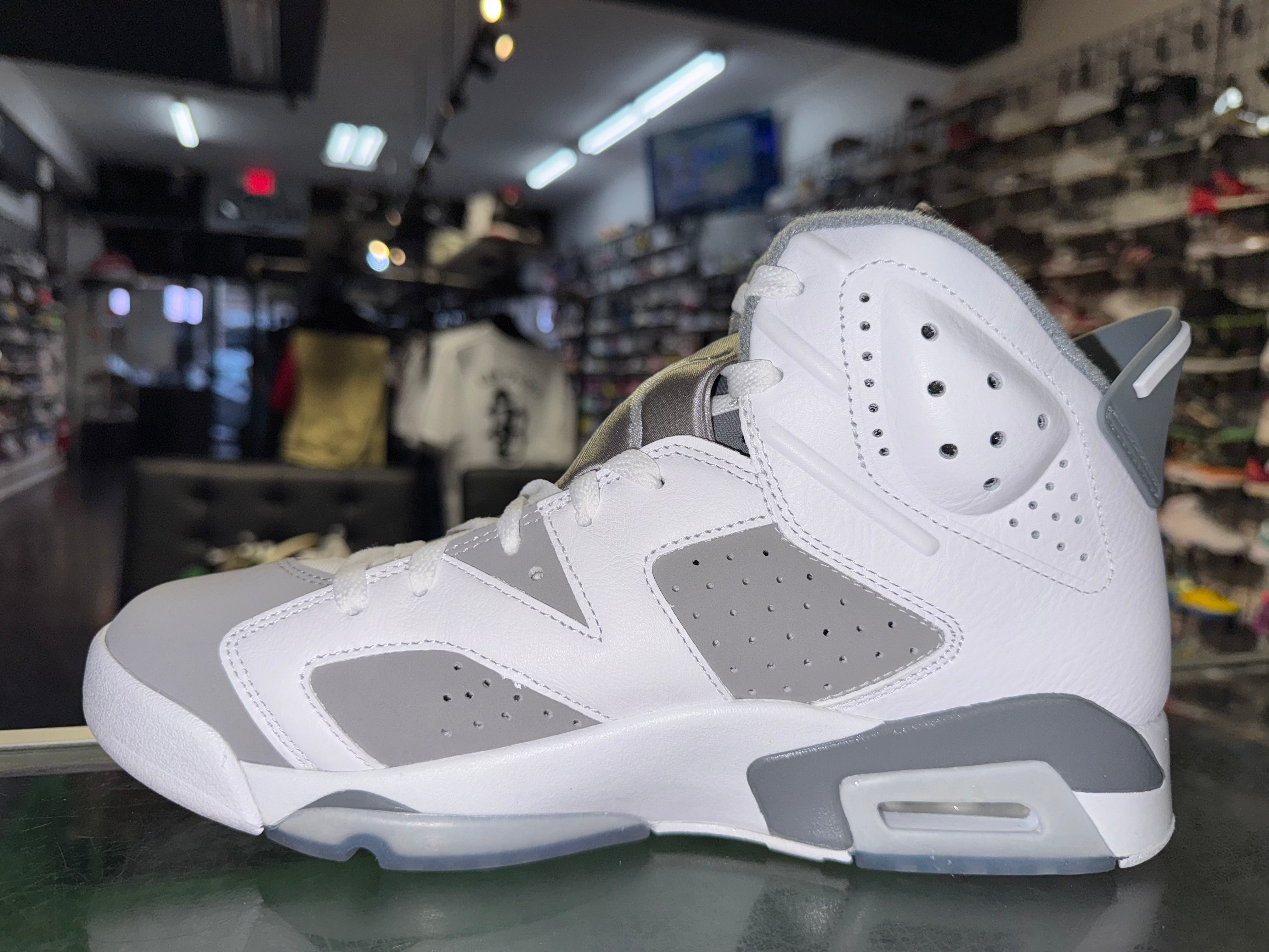 Size 9.5 Air Jordan 6 "Cool Grey"