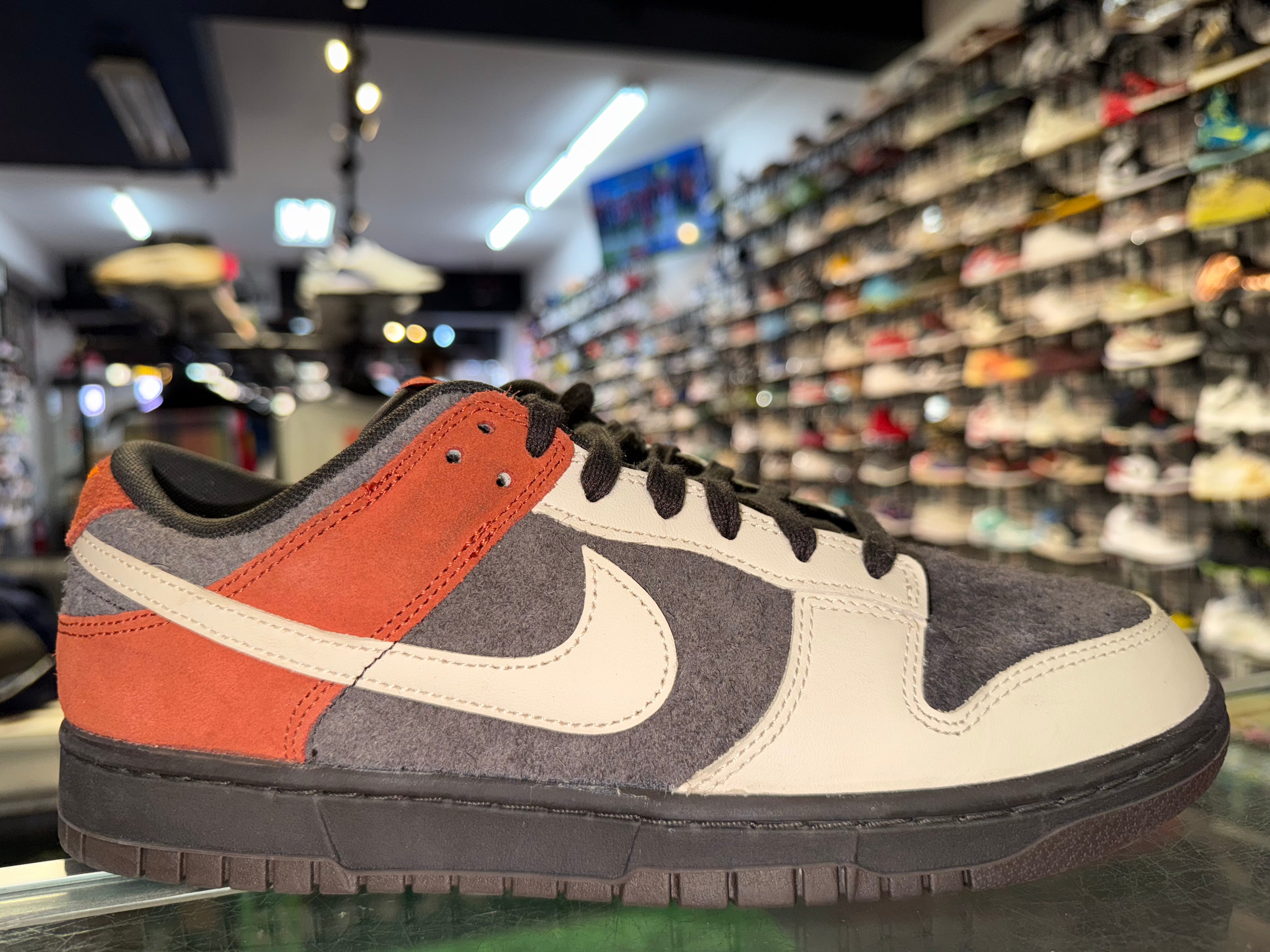 Size 10 Dunk Low "Red Panda" Worn 1x