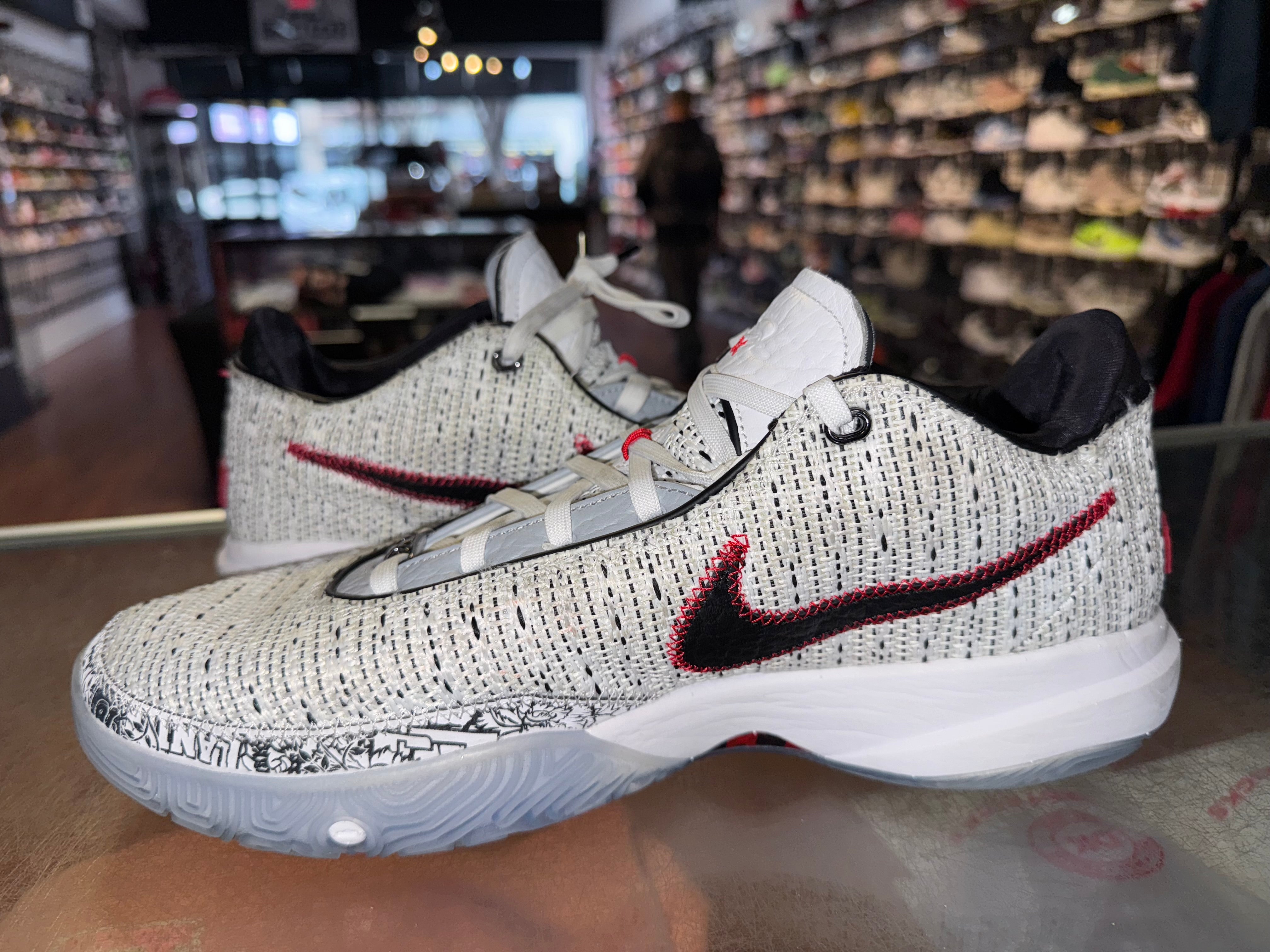 Size 13 Nike Lebron 20 “The Debut”