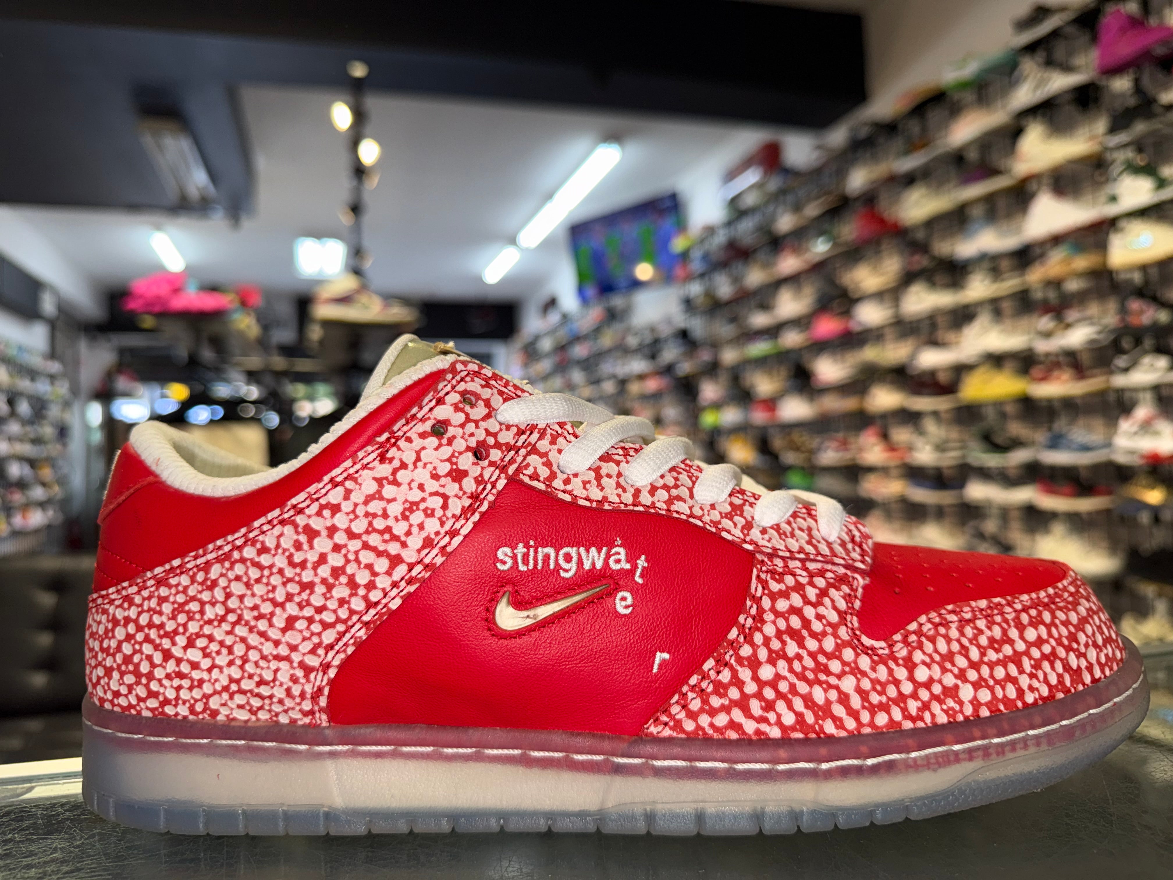Size 12 Dunk Low SB "Stingwater Magic Mushroom" Worn 1x
