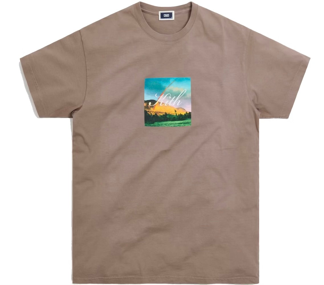 Size M Kith Pot of Gold Tee “Cinder”