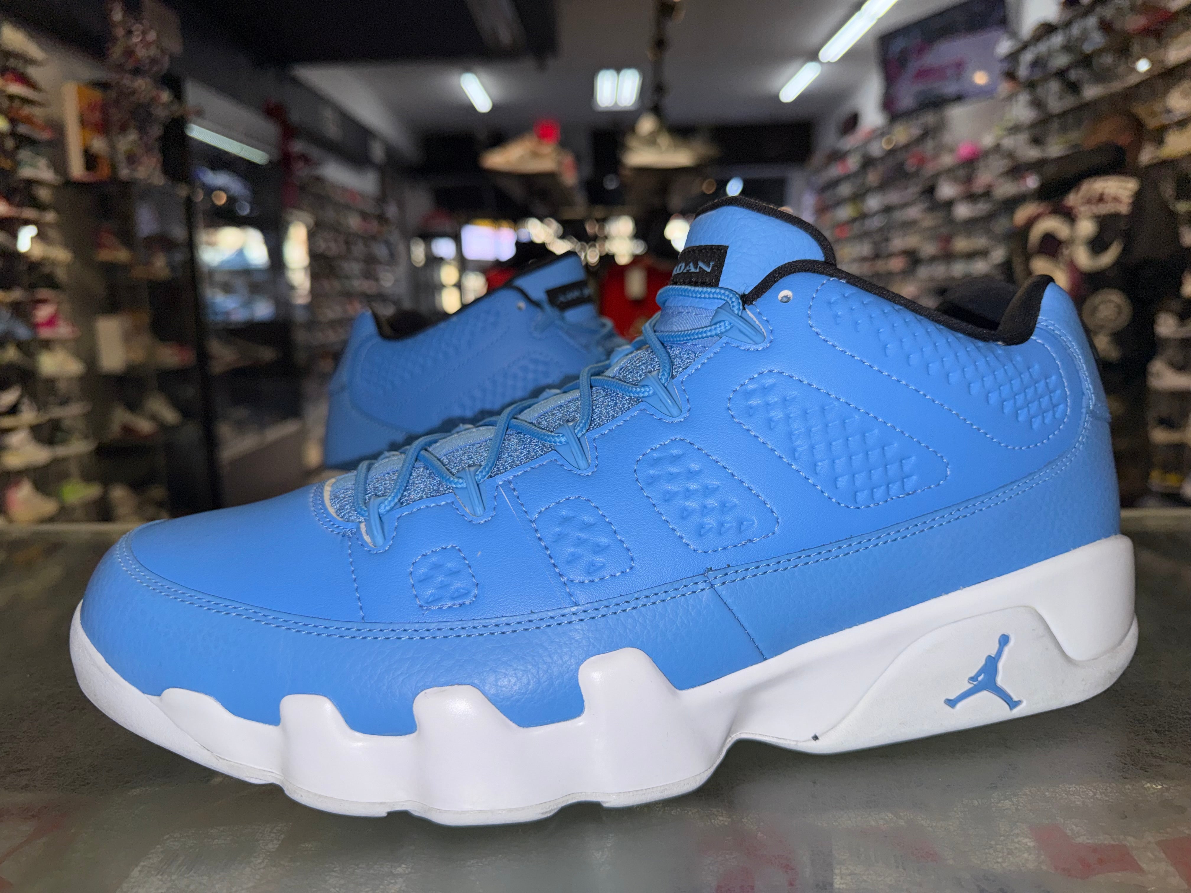 Size 14 Air Jordan 9 Low "Pantone"