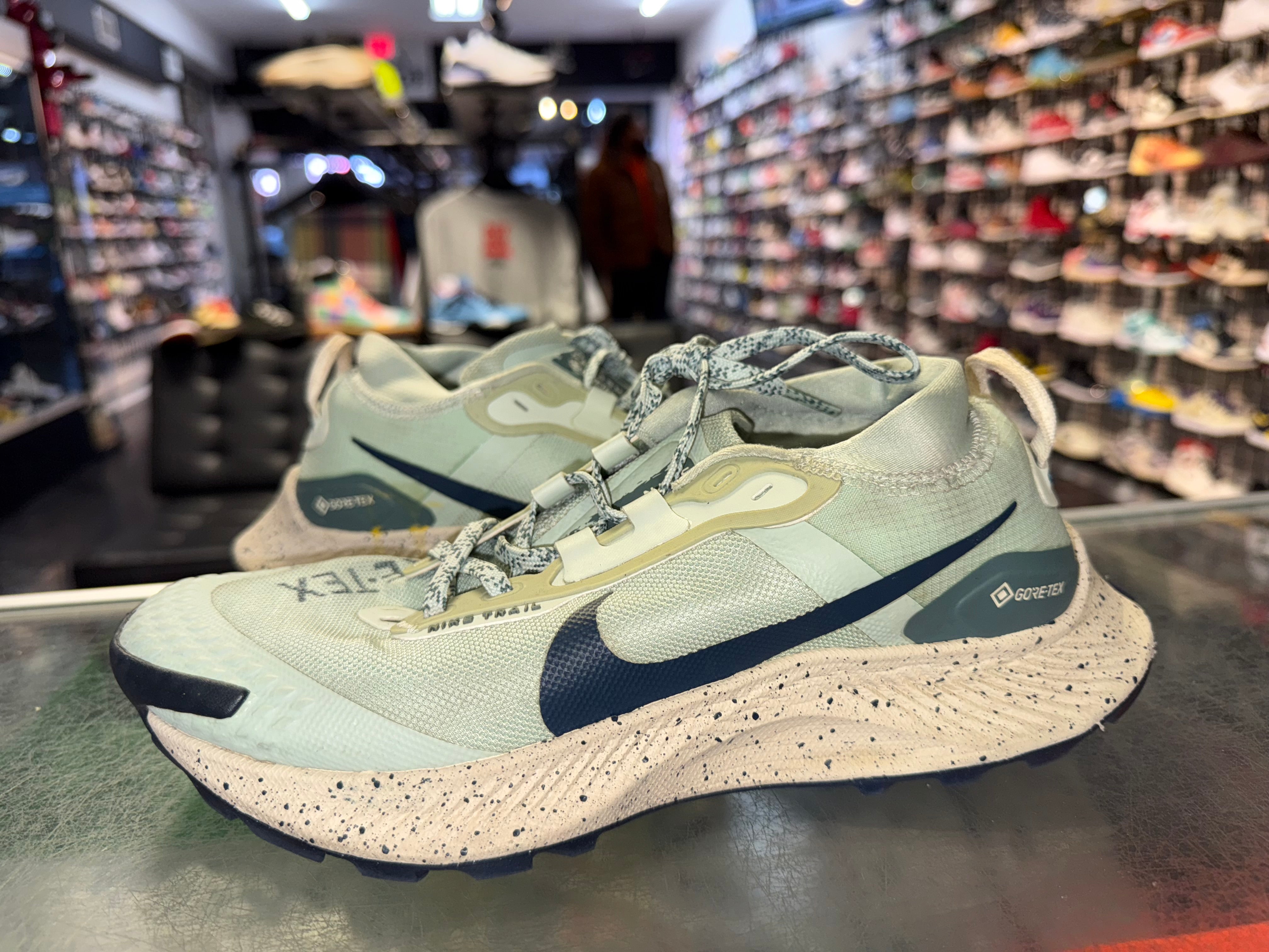 Size 7.5 Nike Pegasus Gore Tex - NB