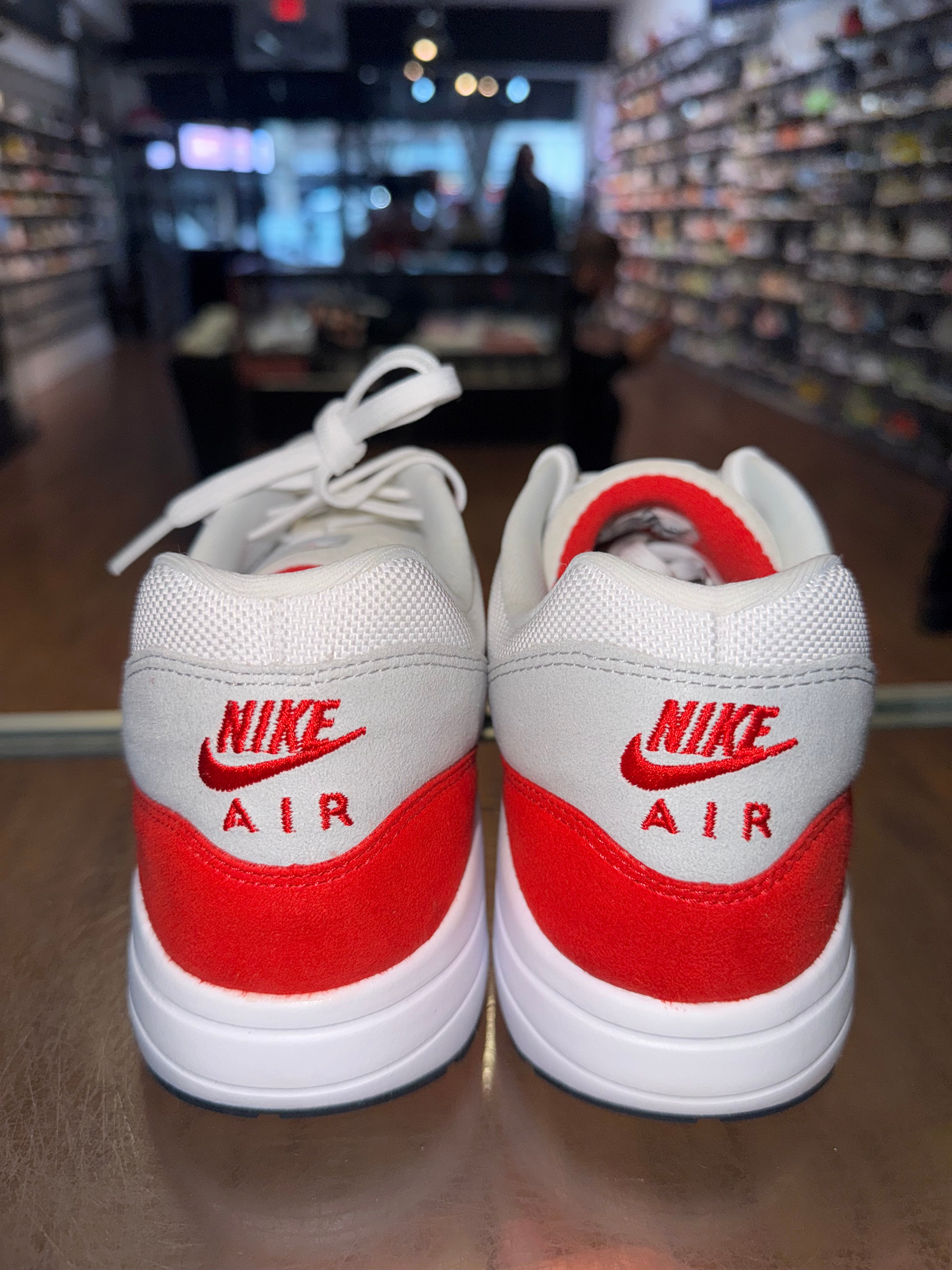 Size 10.5 Air Max 1 Ultra “Air Max Day”